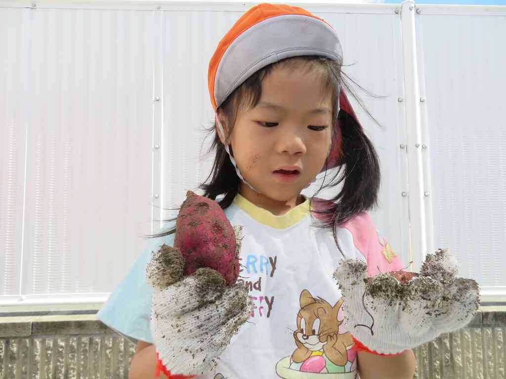 うわぁ！思ったより大きなお芋だ！