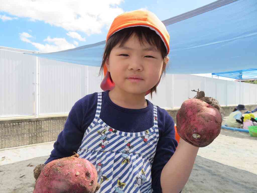 お芋さん♡こんにちは