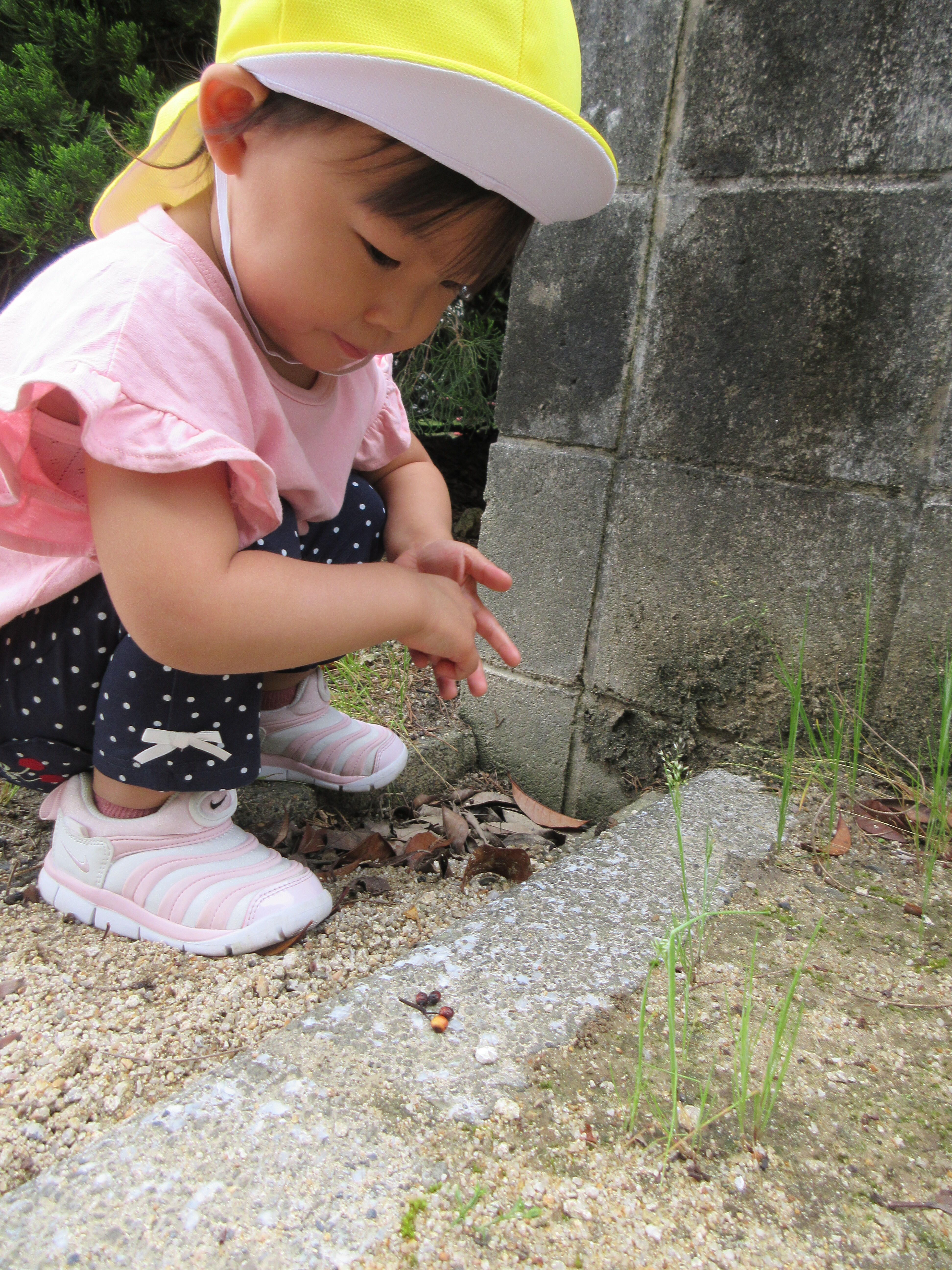 木の実、み～っけ♡