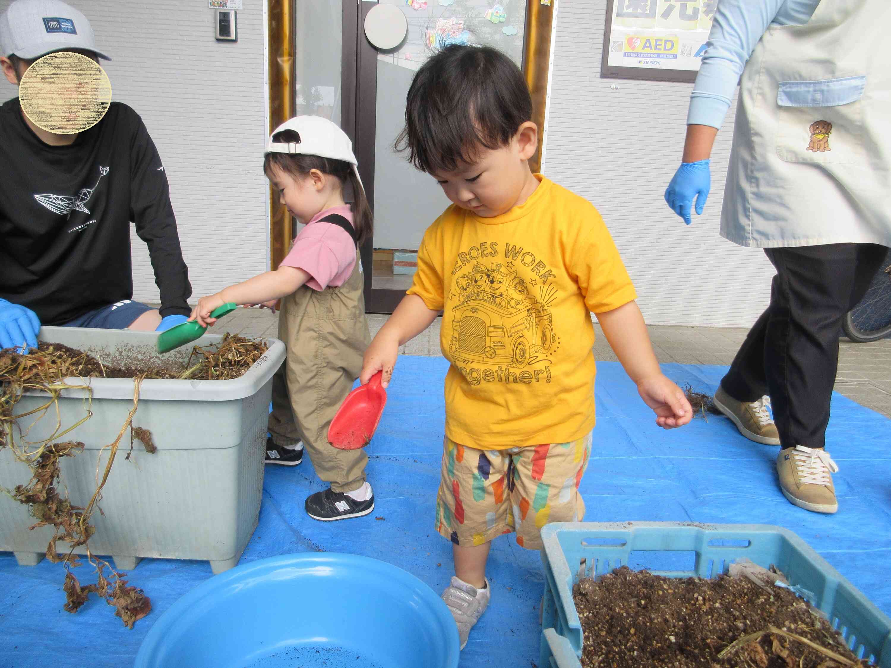 掘ったじゃがいもはタライの中に・・・