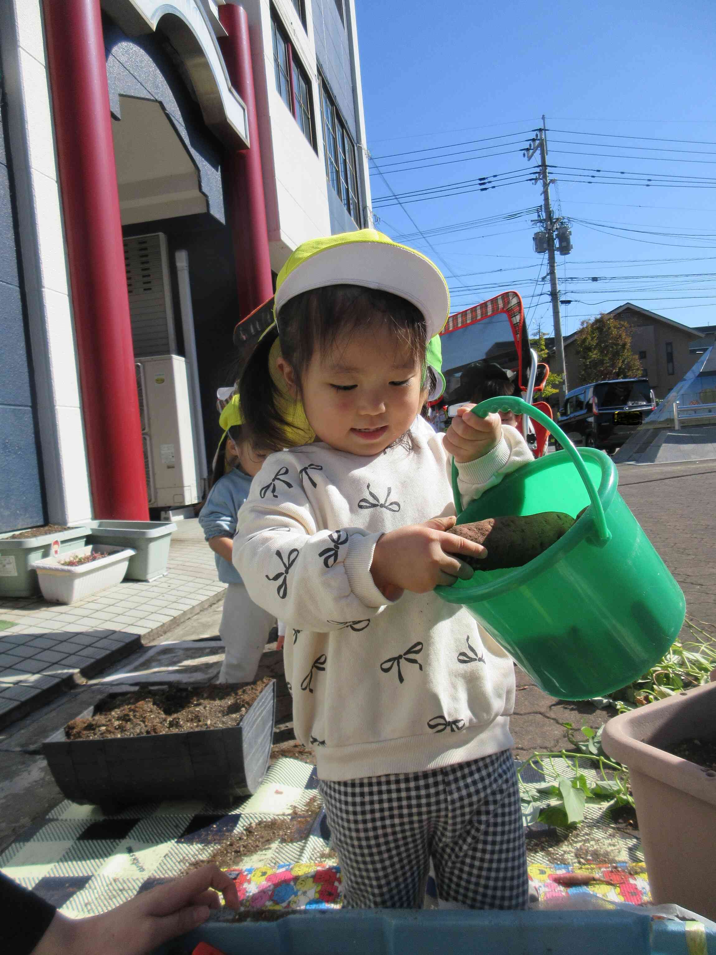 バケツに大事に入れていました！