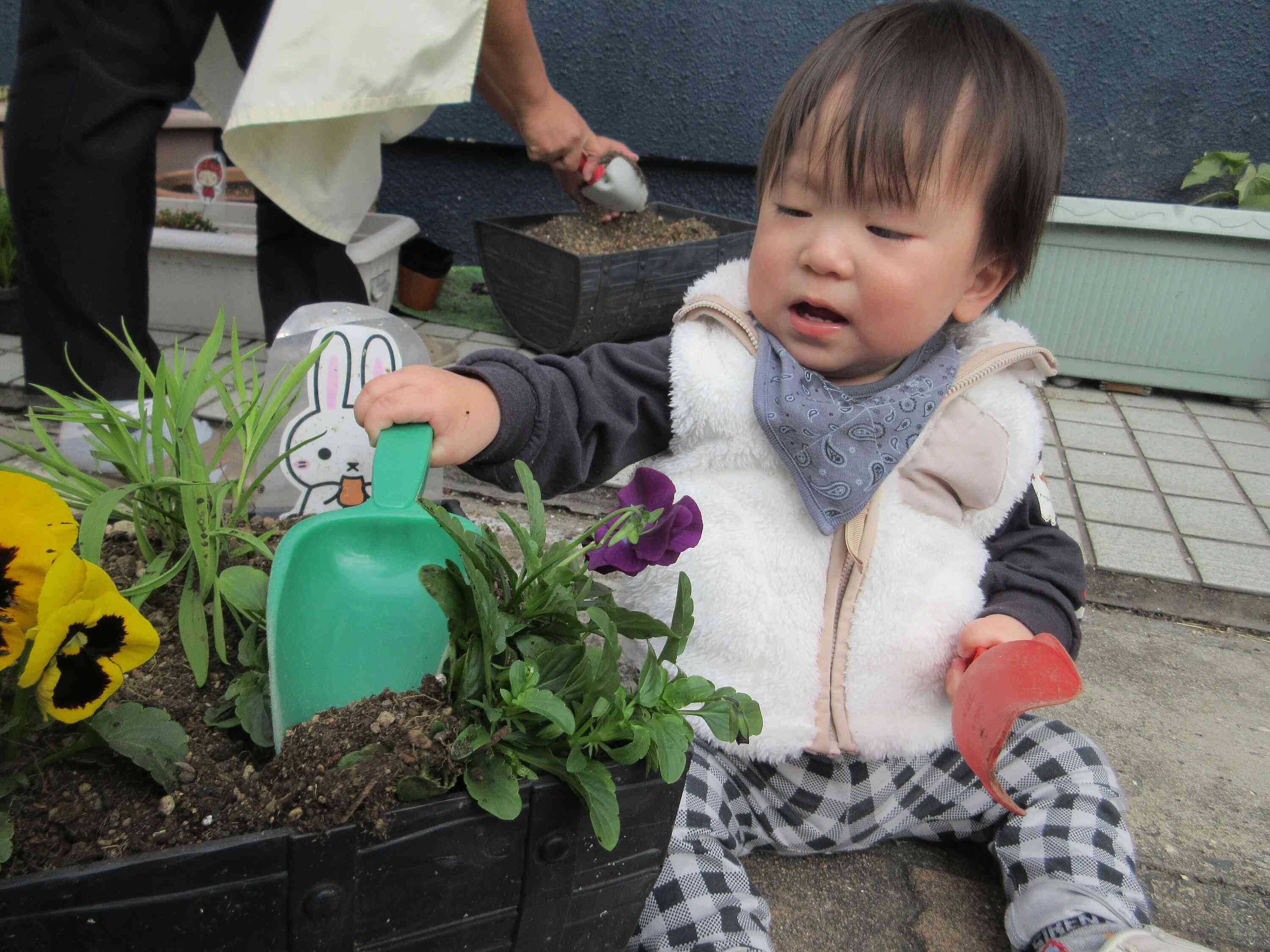 土をかぶせてくれました♪