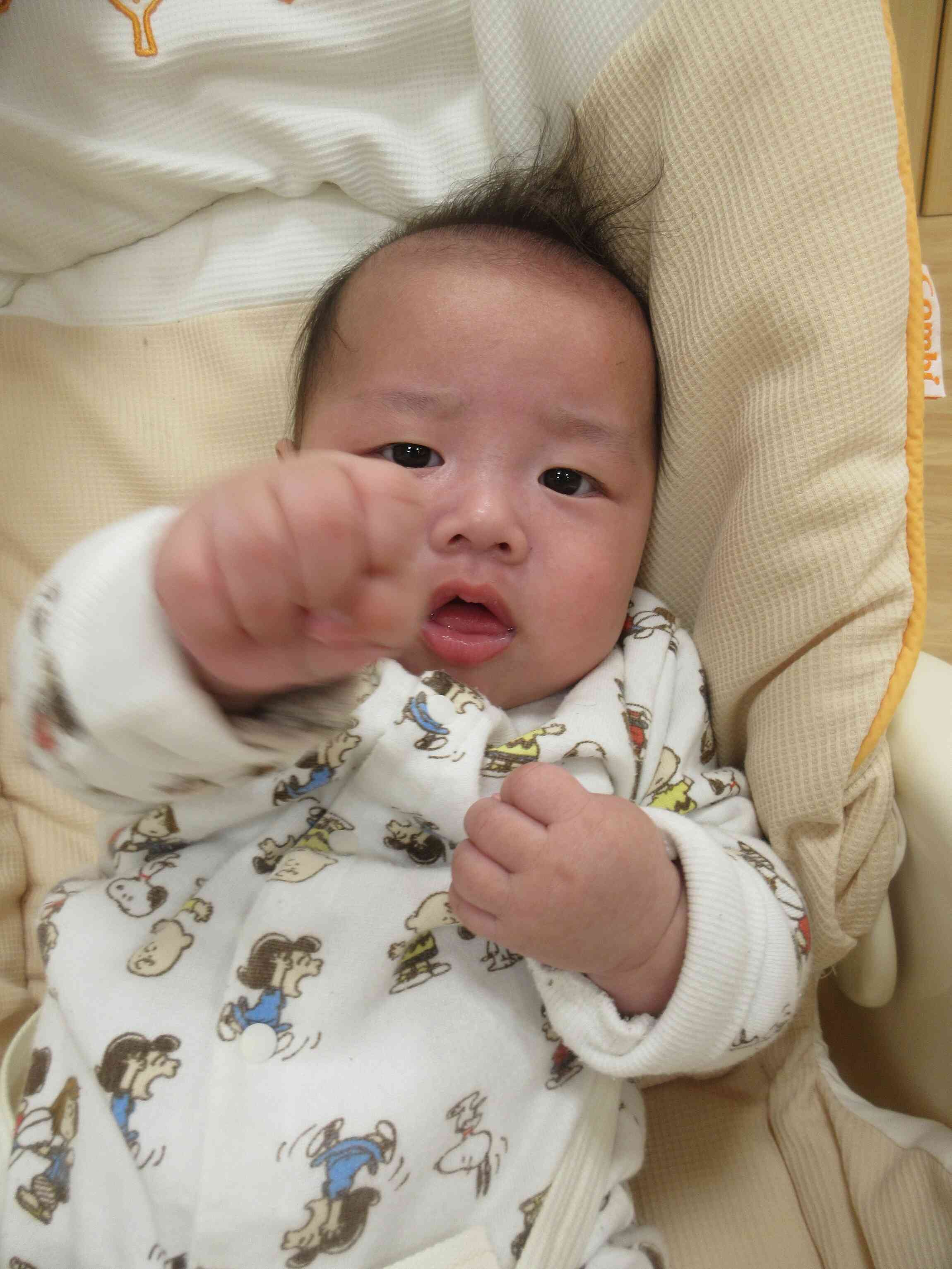 ひよこ組さんも「がんばれ～」と見守ってくれました♪