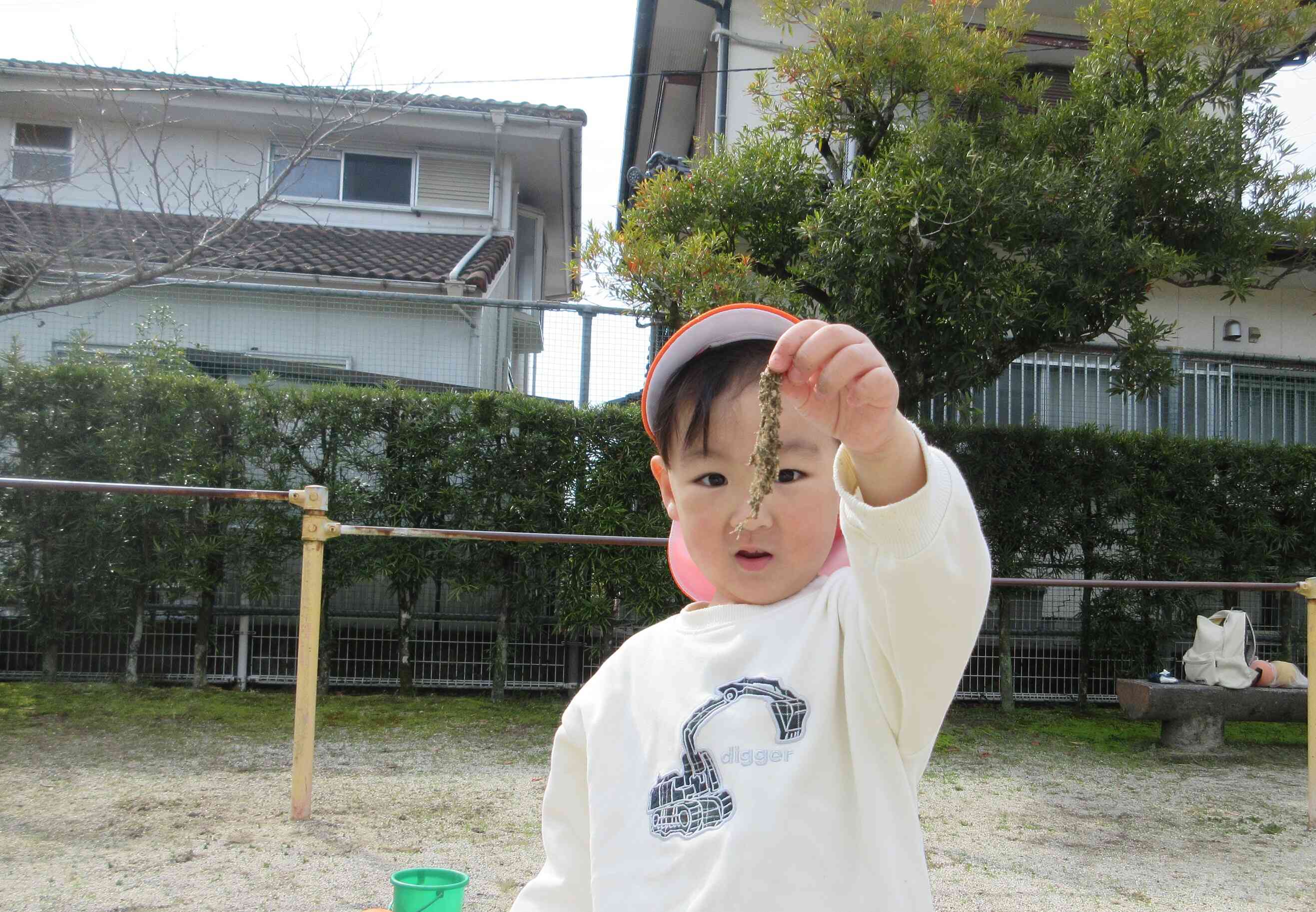 土を掘っていたら、、、根っこをはっけ～～ん！