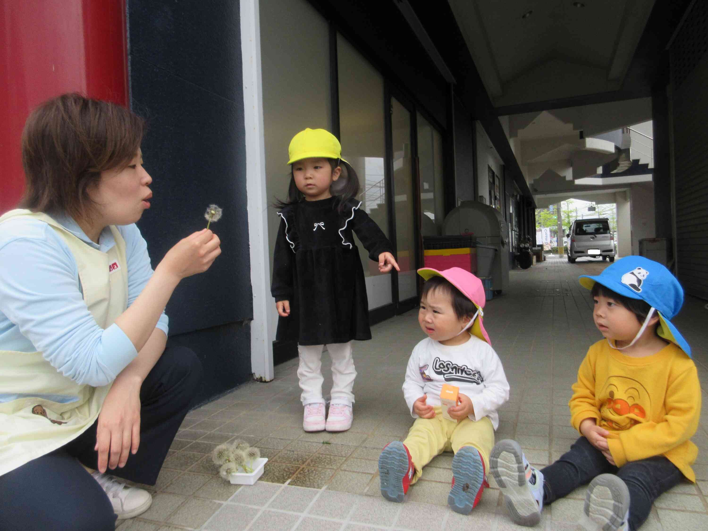 たんぽぽを飛ばしました♪