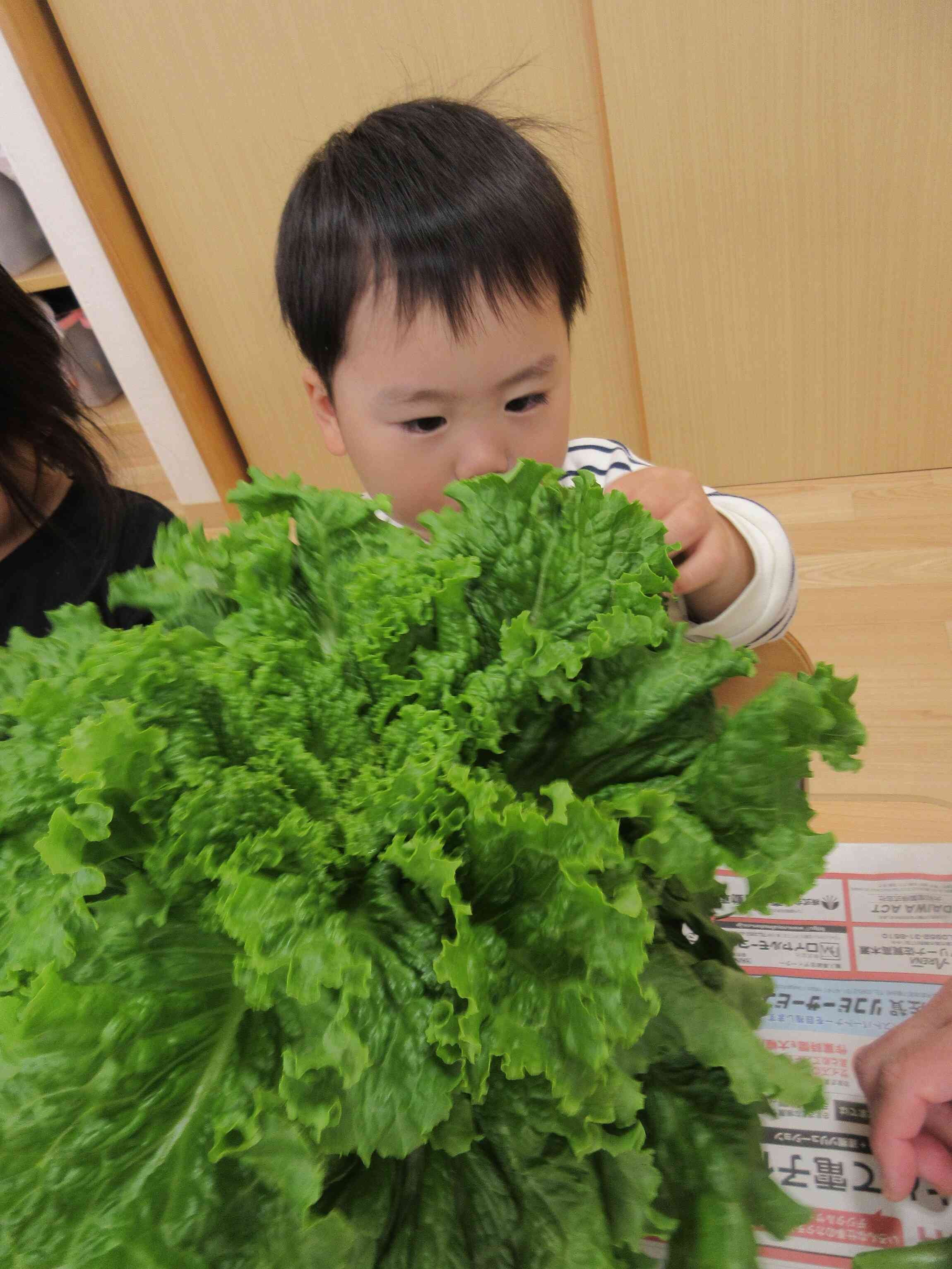 食育～野菜に触れてみよう～