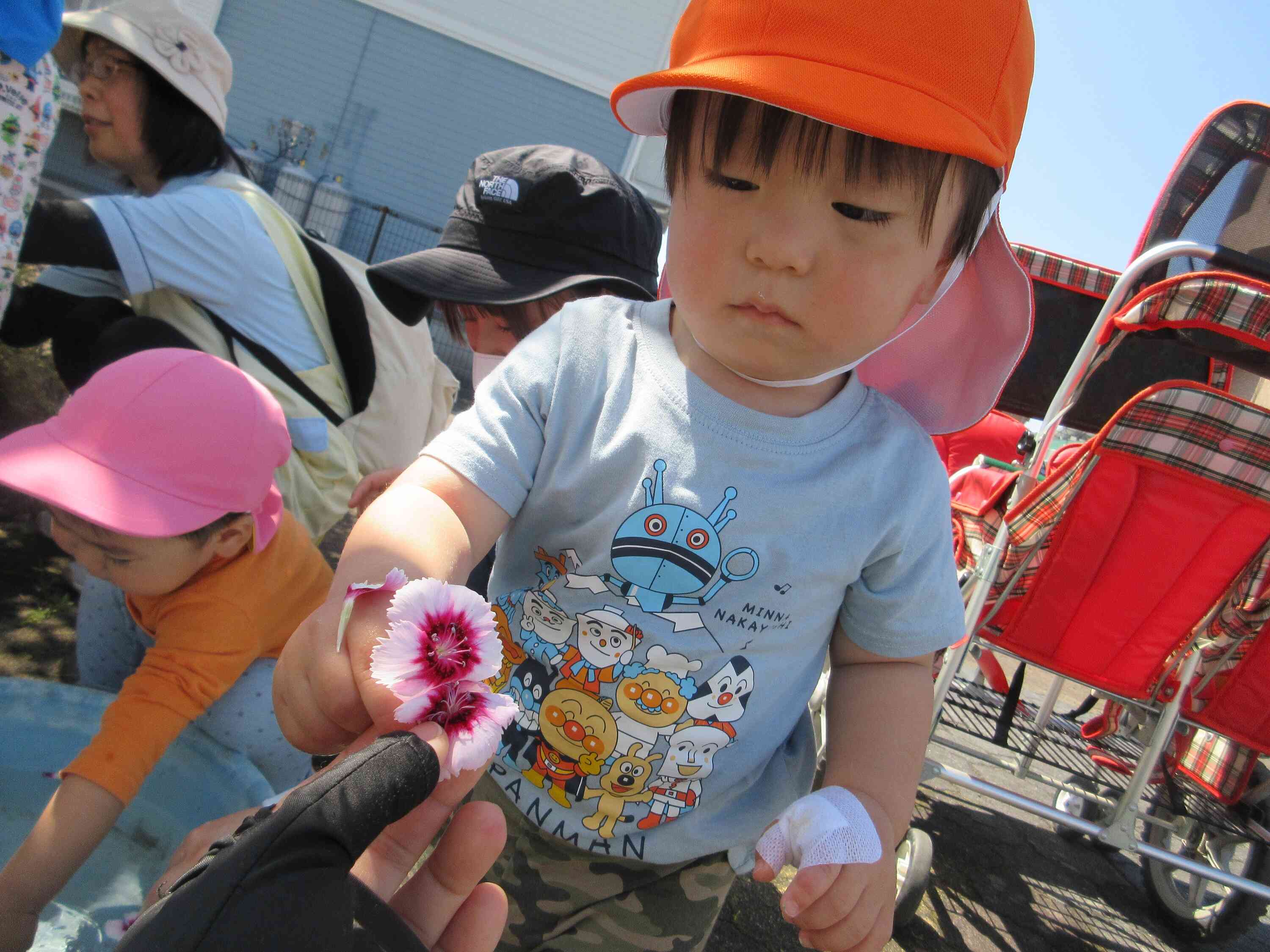 「そ～っと掴んでみてね」の言葉に茎をそっと掴んでいる姿がとっても優しかったです♪