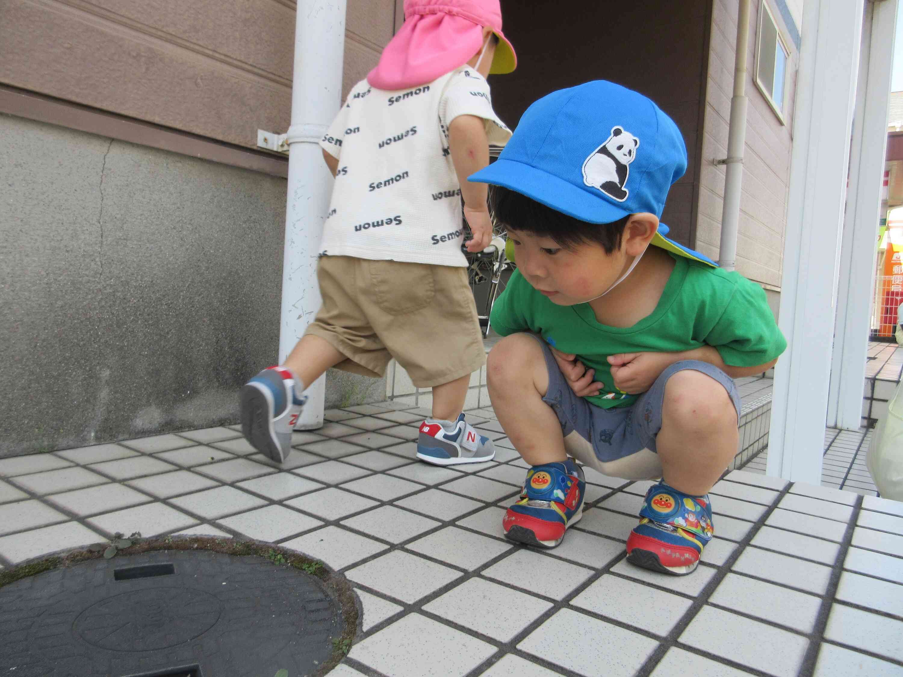 小さな虫を発見！！どこに行くのかな～と観察していましたよ♪