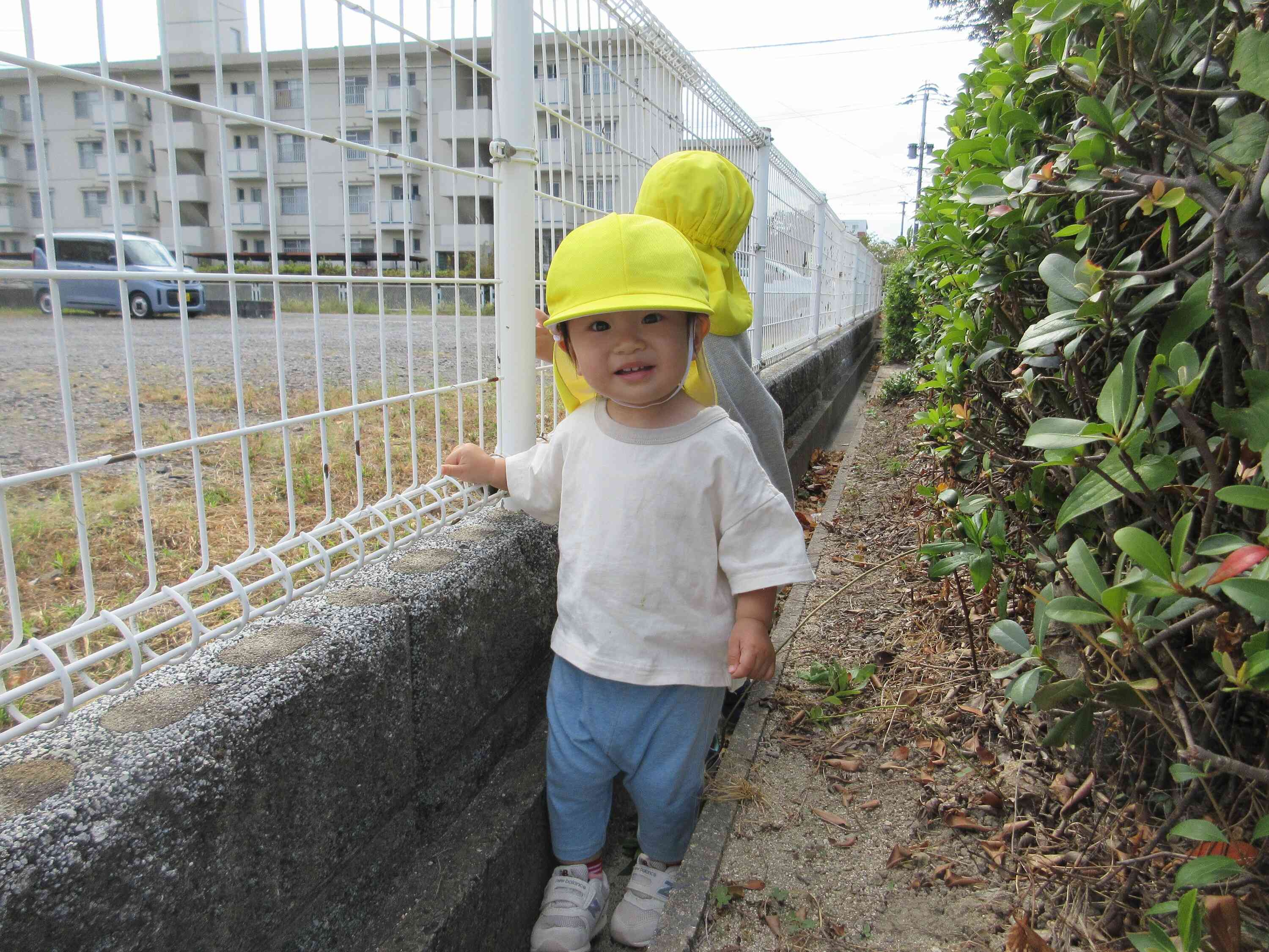 側溝をてくてく探検中♪　