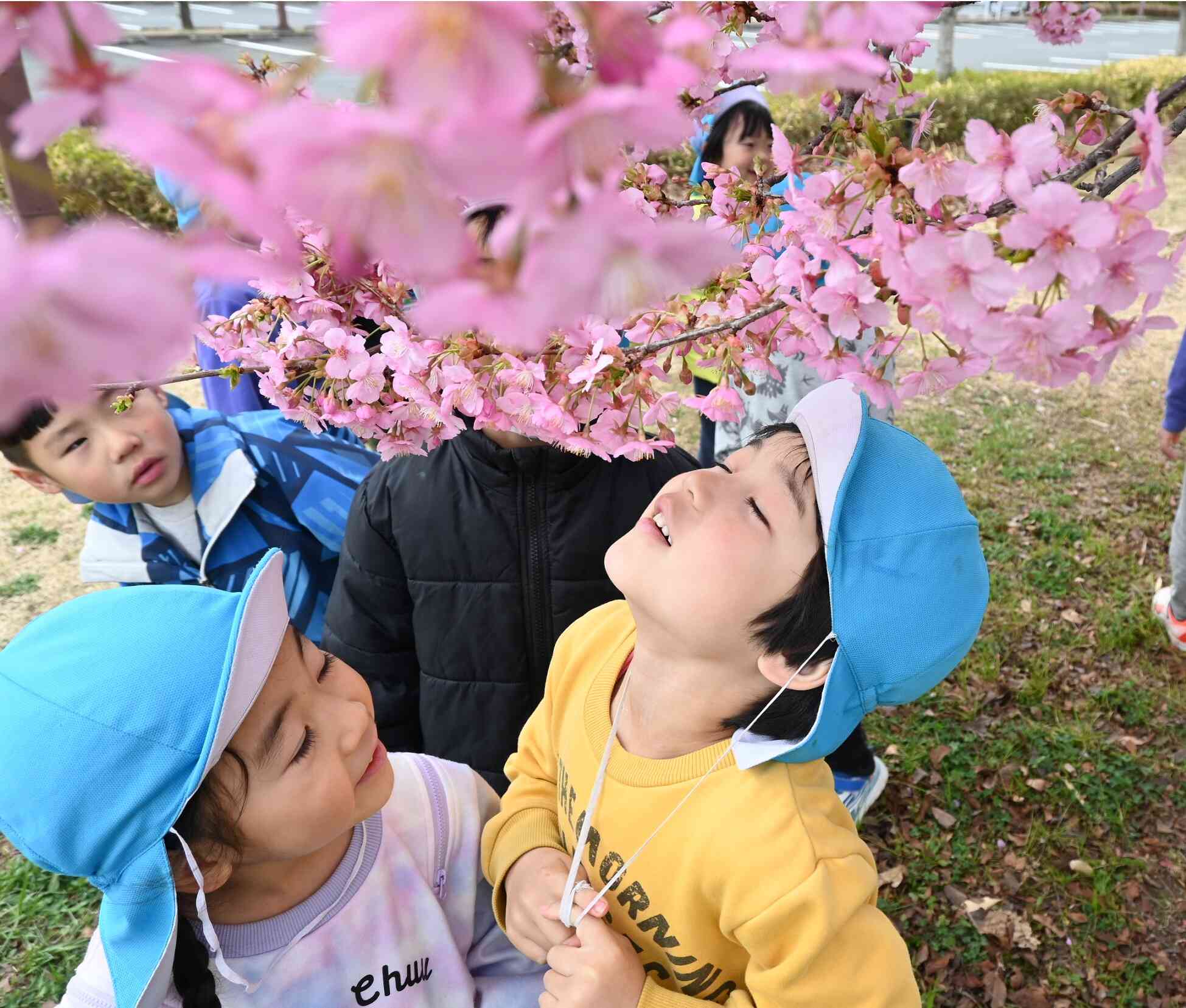 お花見～いいにおい～