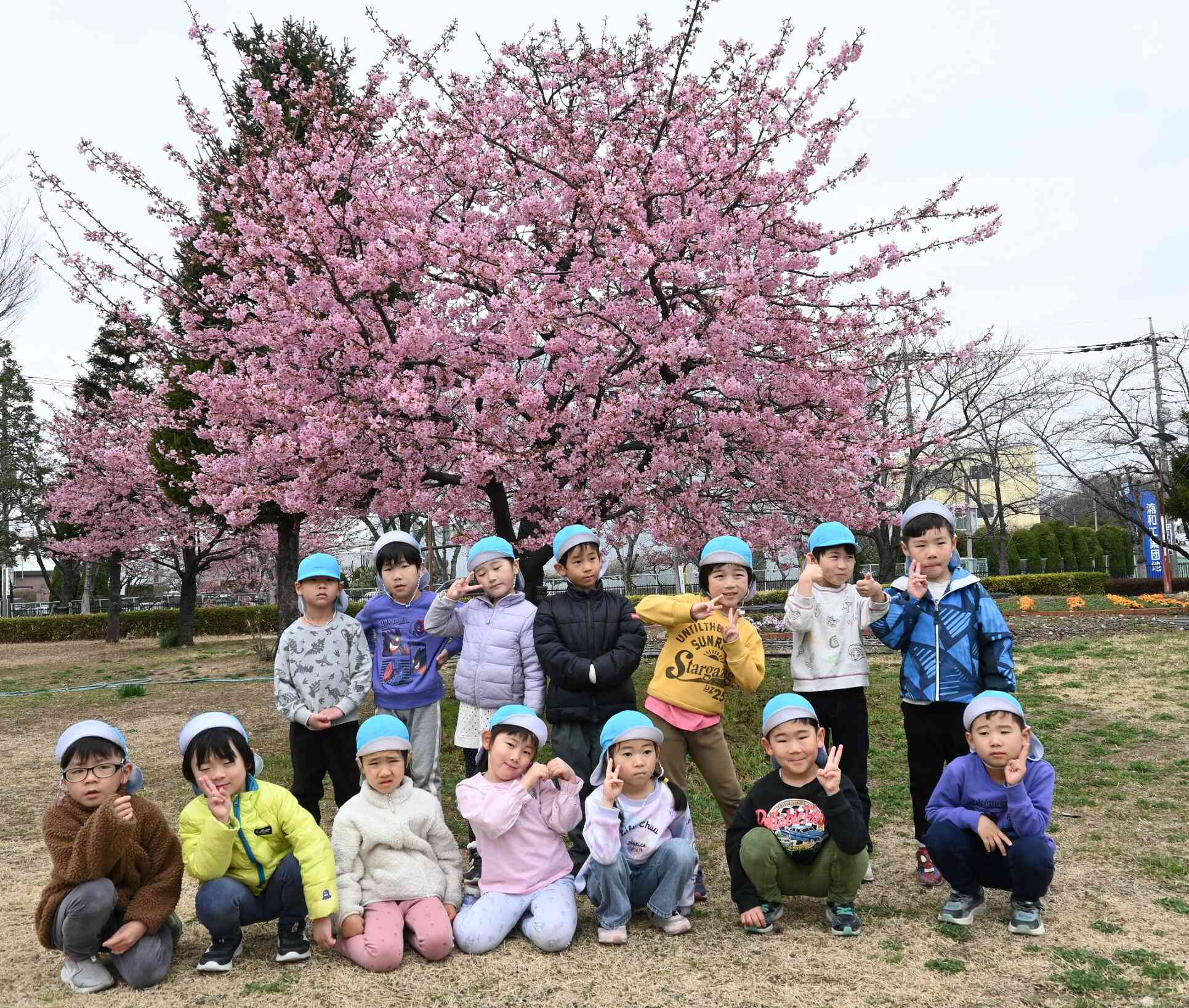 お花見～5歳児クラス～