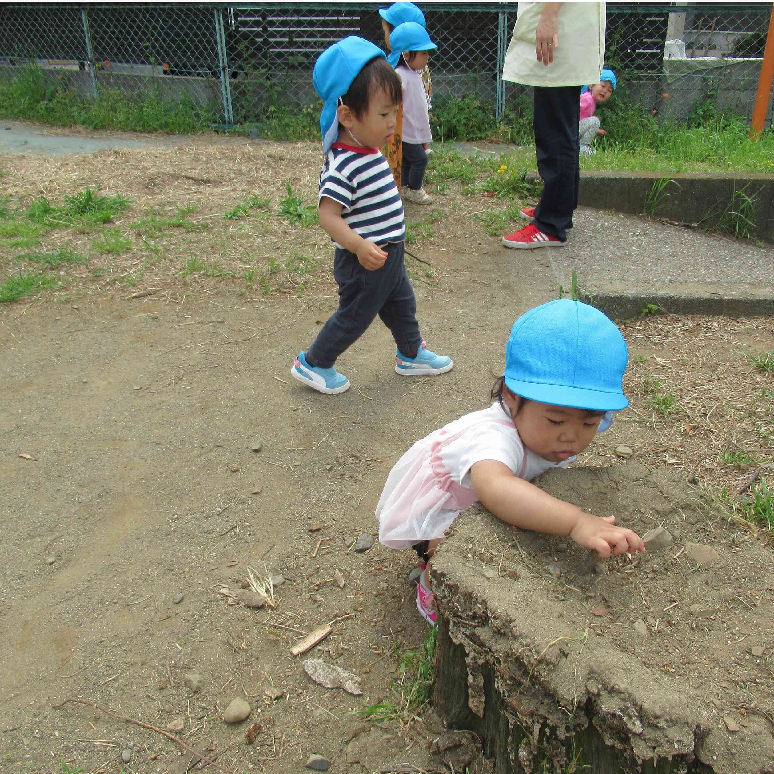 春を探求中～あひる組～