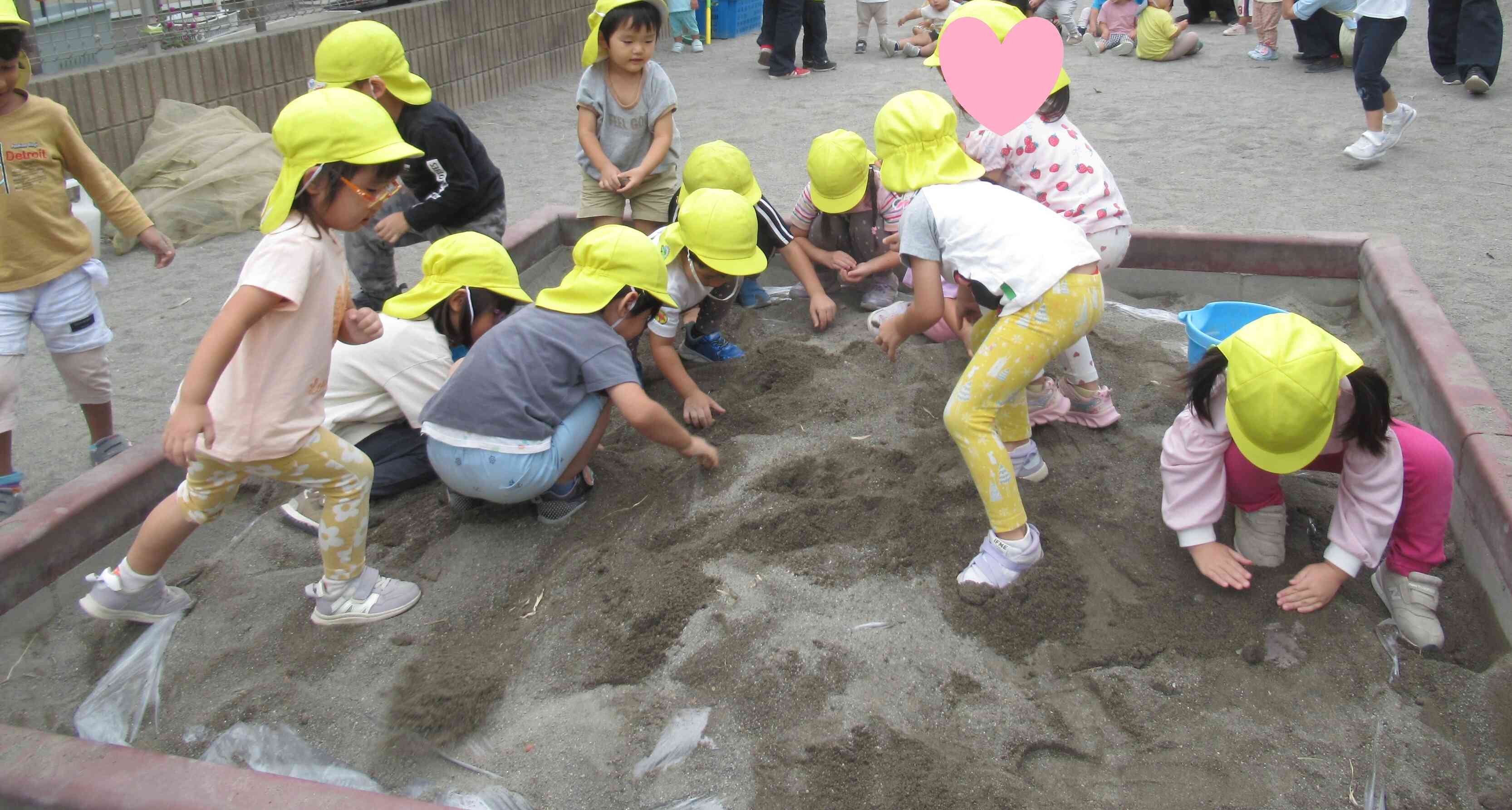 『どんぐり掘り』をしたよ~1歳児・3歳児クラス～