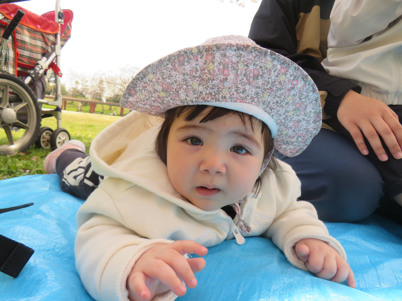 ひよこ組のお友だちも一緒にお散歩に行ってきました☆