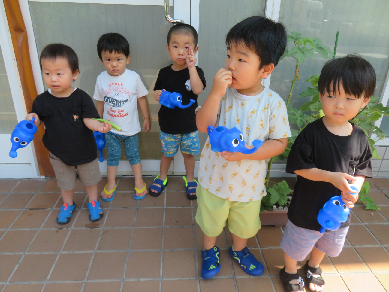 うさぎ組のお友達は毎日野菜の苗に水をあげています♪