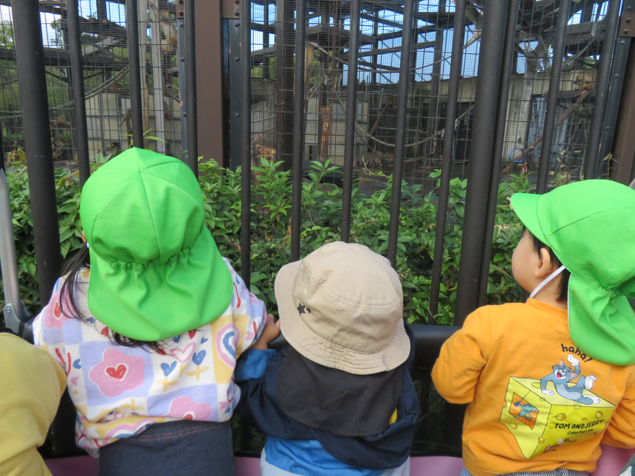 帰る前にお猿さんを見ました。