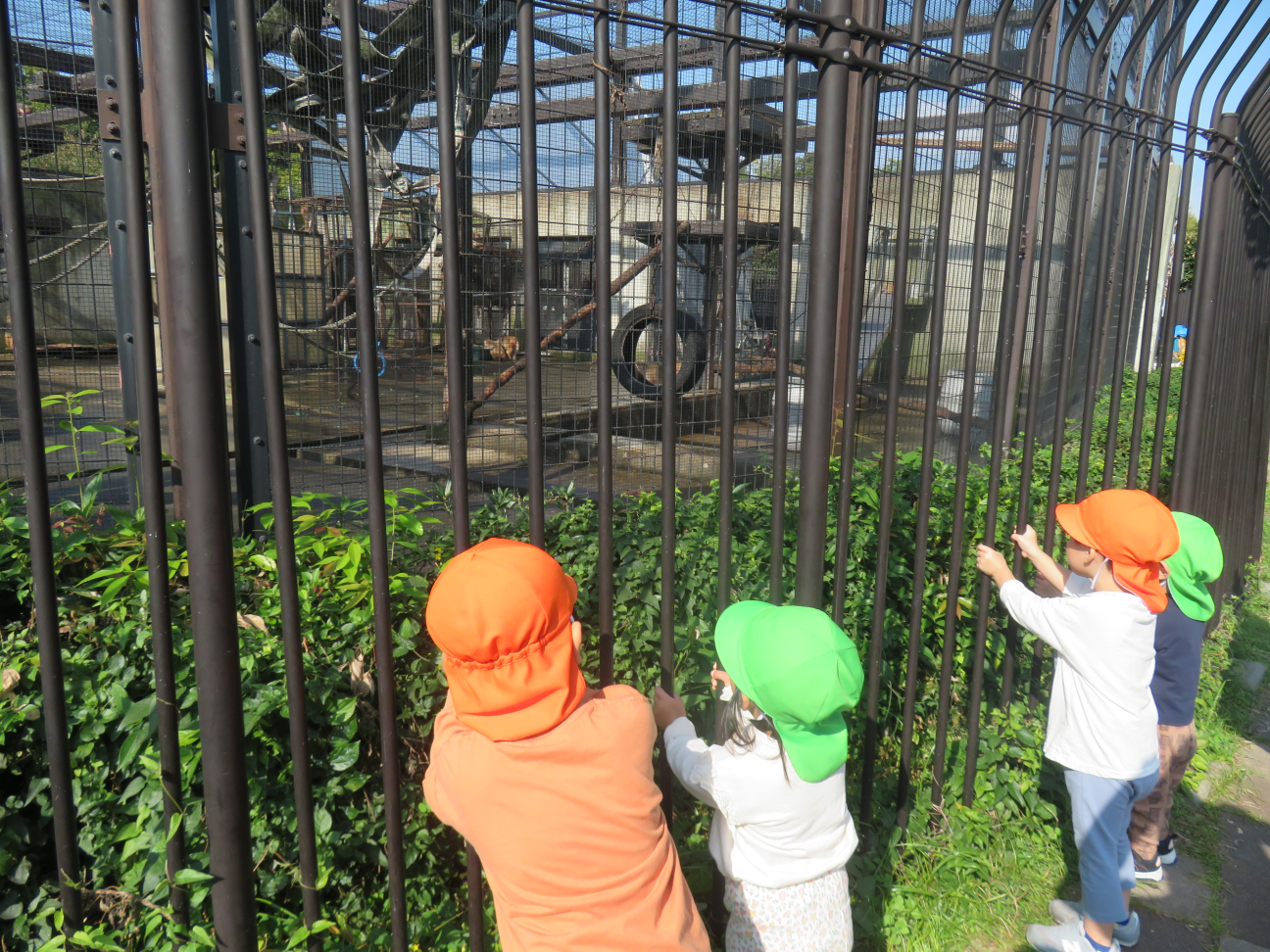 お猿さんも見たよ♪