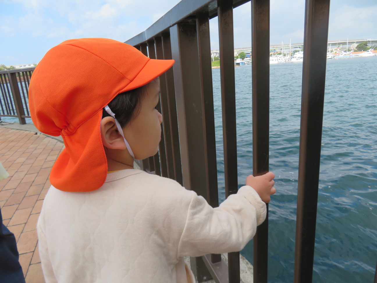 お魚見えるかな？