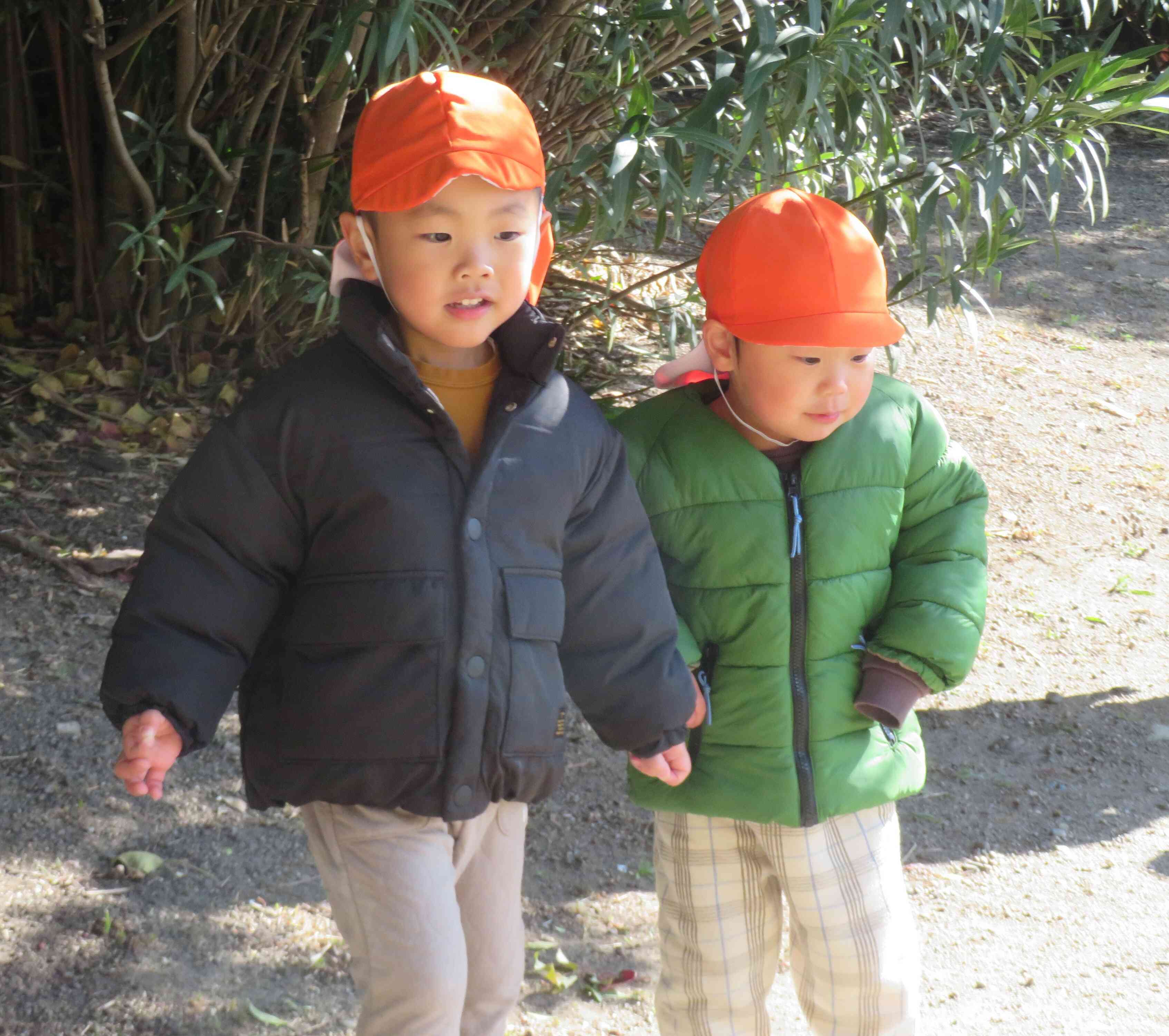 どんぐりどこかな～？