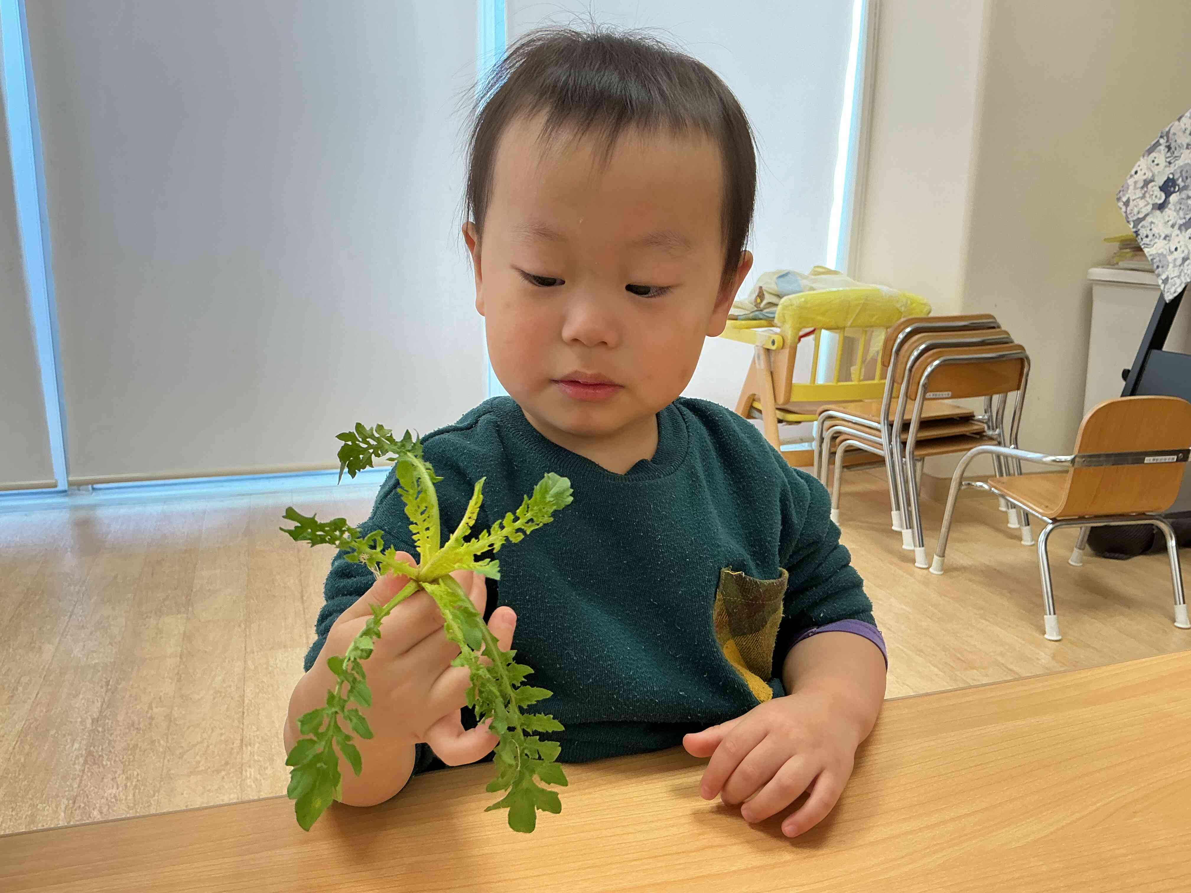 なんだこれ...？？