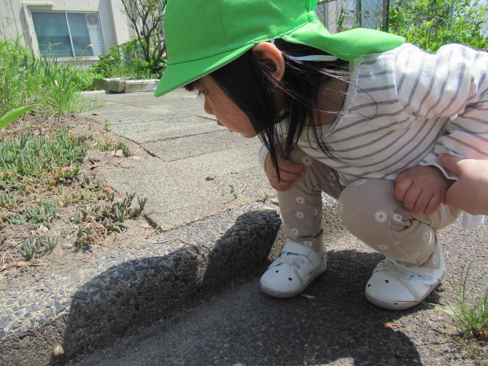 何かいないかな～？