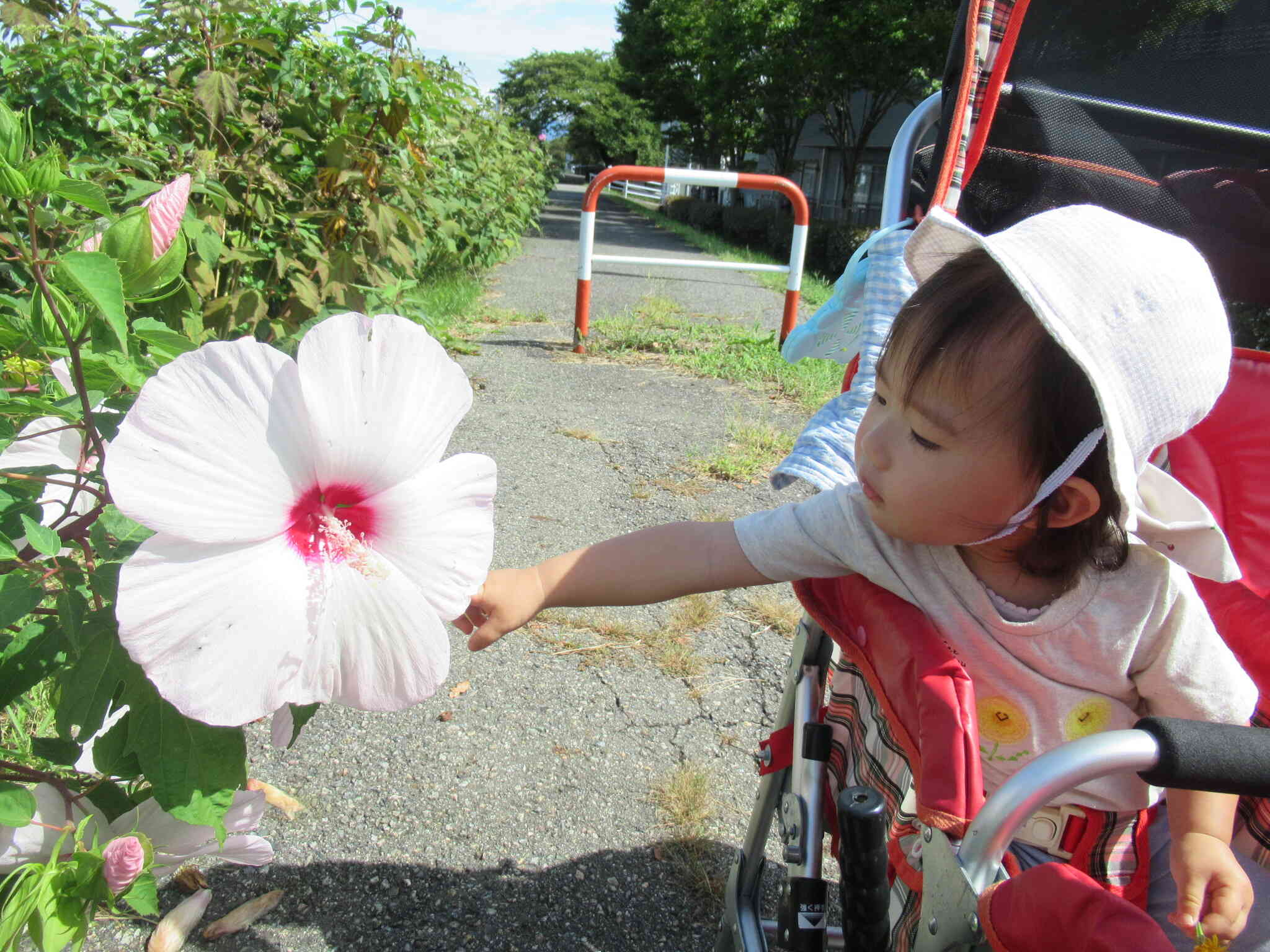 お散歩、気持ちいいね♪