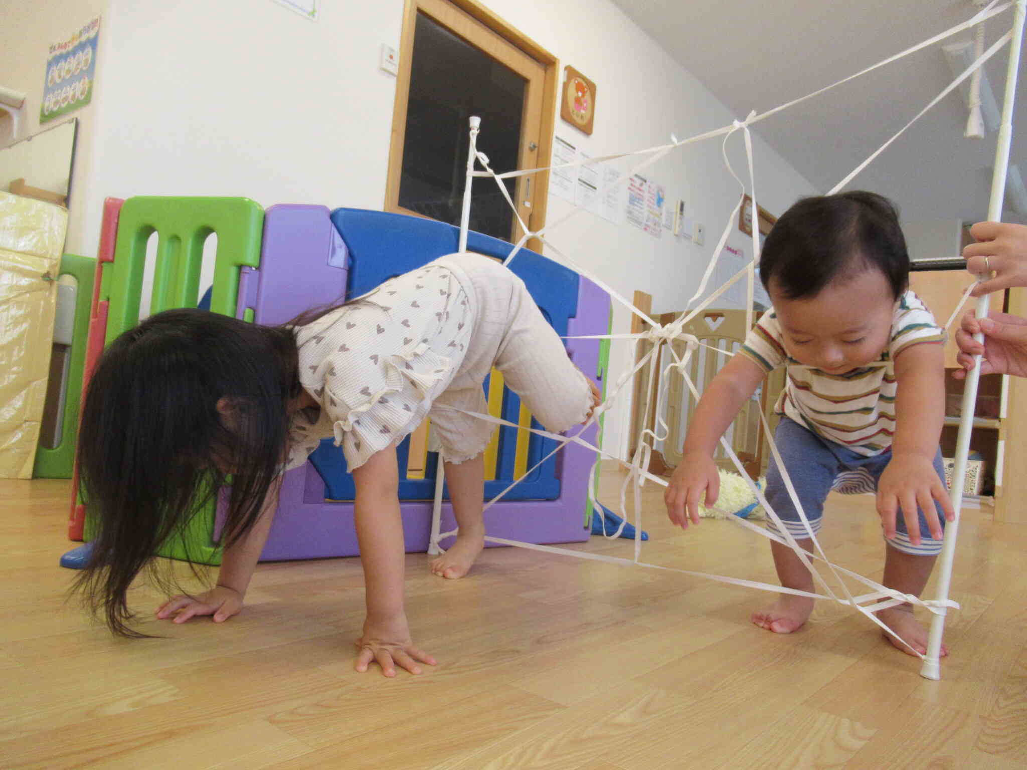 大きなクモの巣を発見！