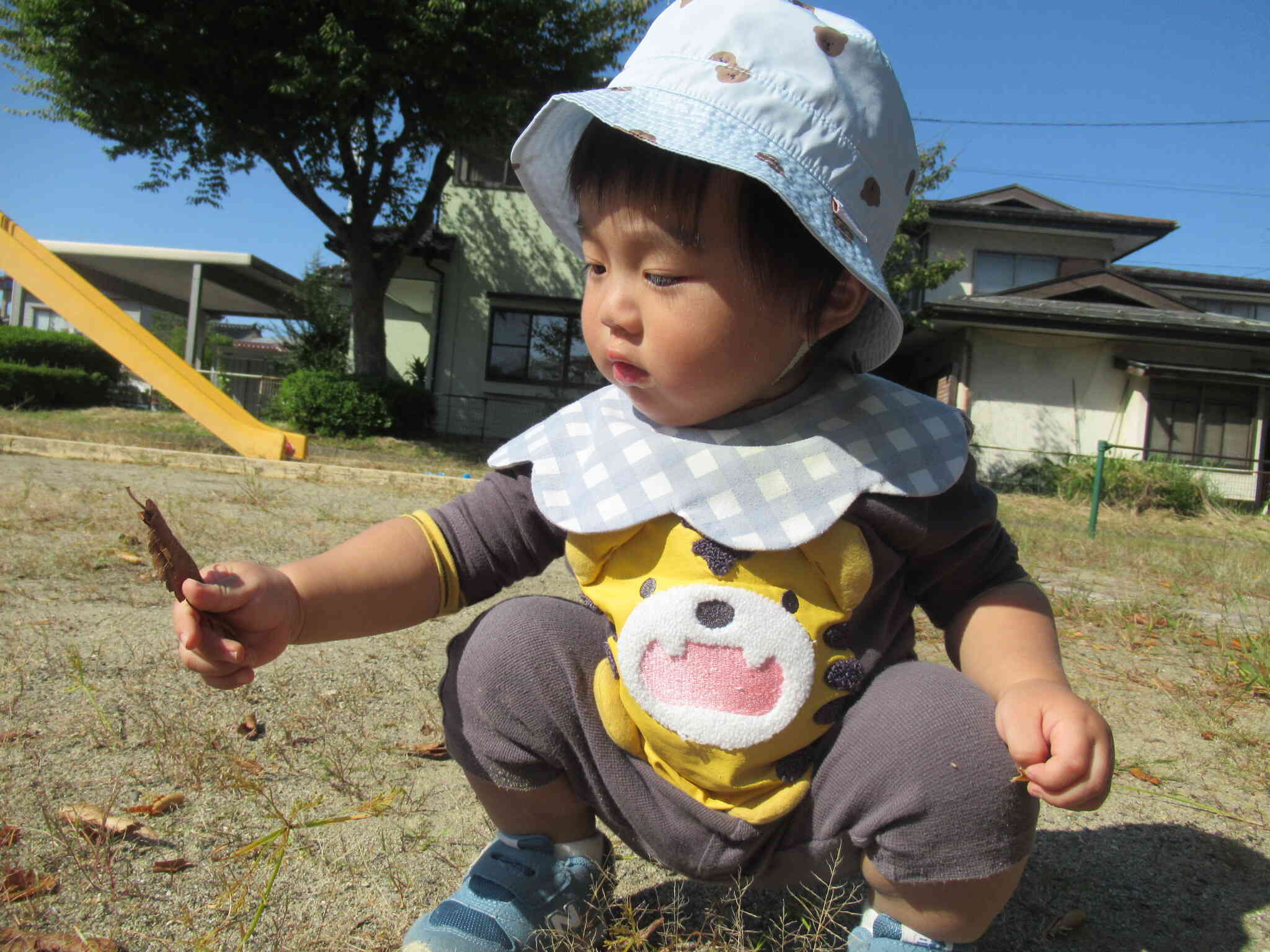 落ち葉みーつけた！