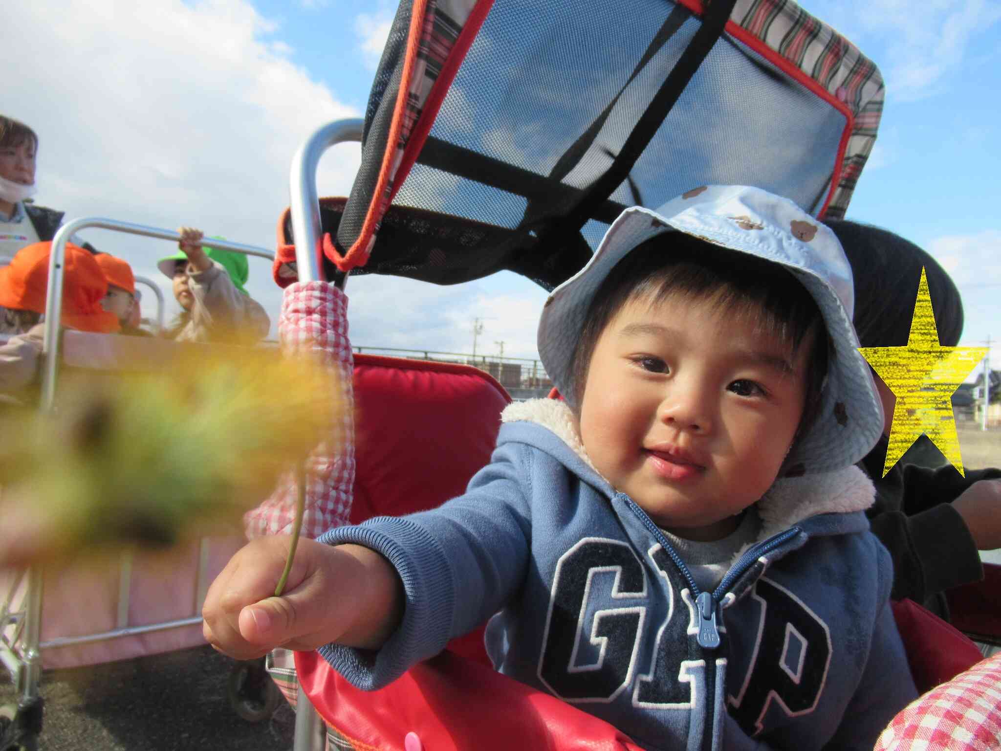 猫じゃらしでこちょこちょしちゃうぞ♪