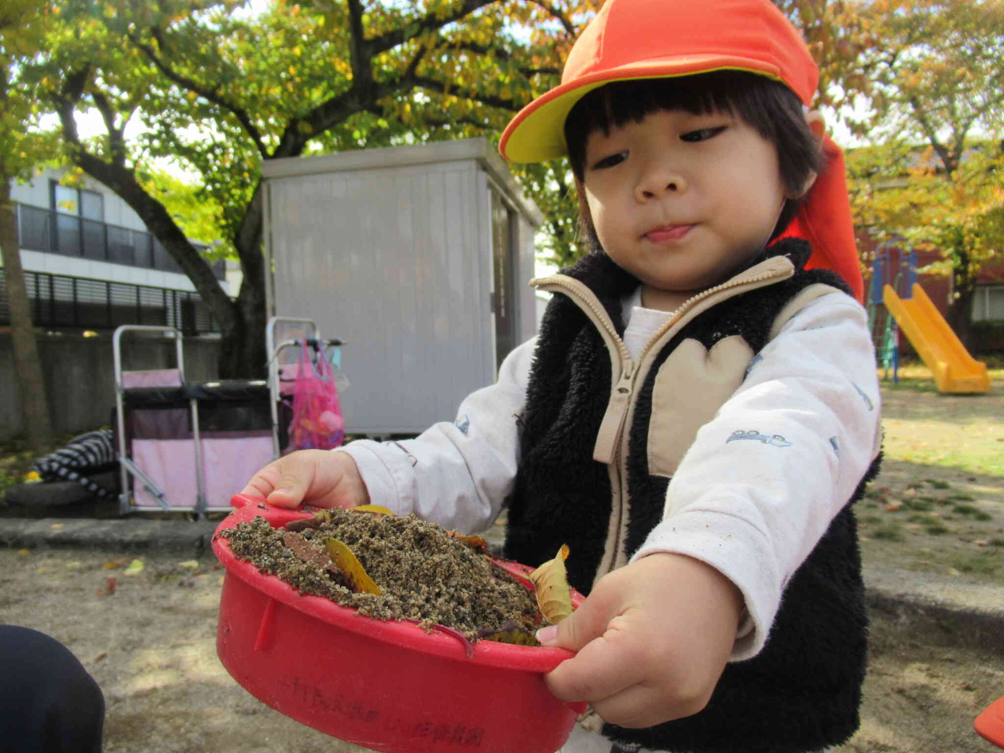 葉っぱのケーキ、できました☆