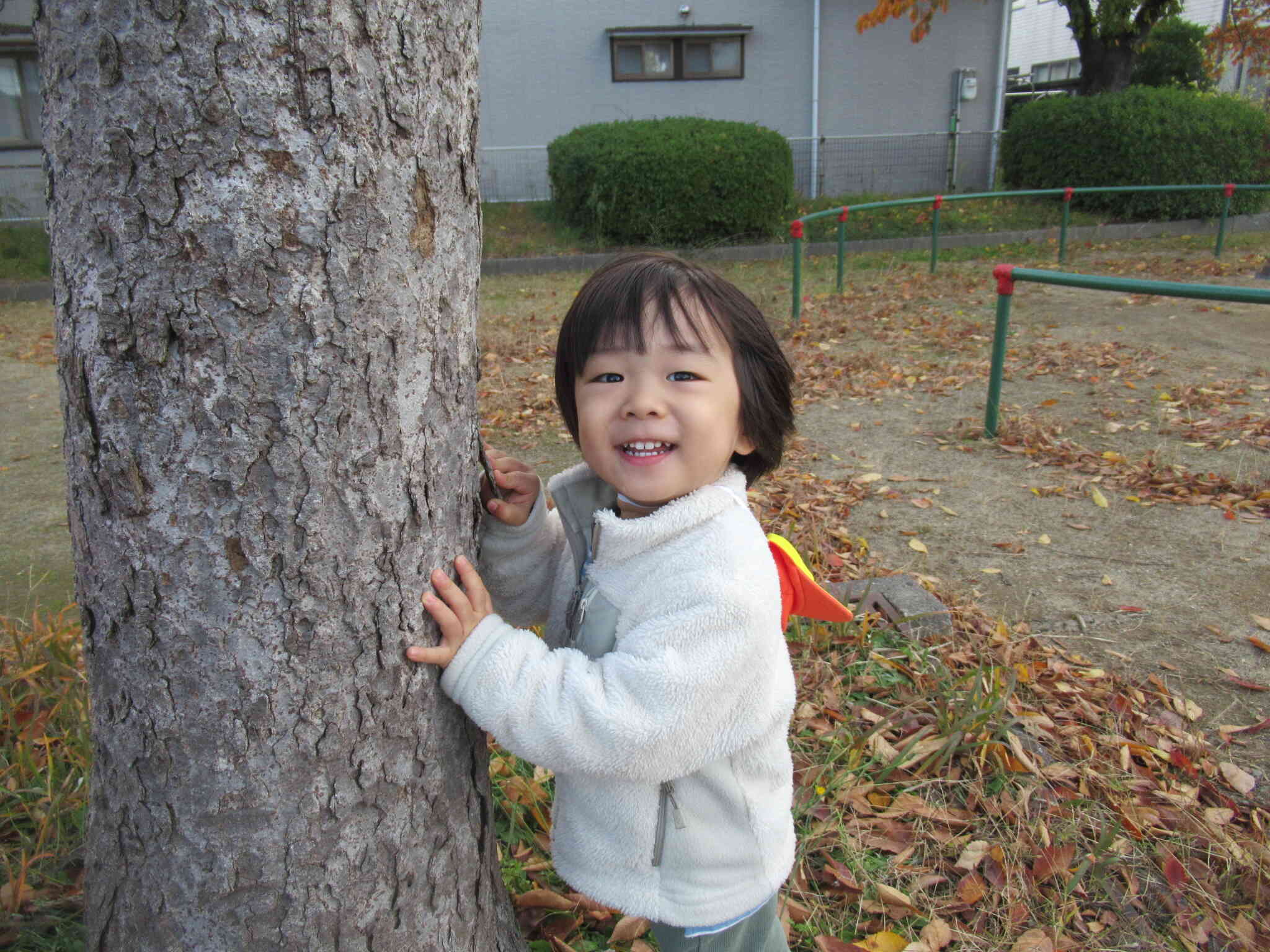 「もういいかい？」