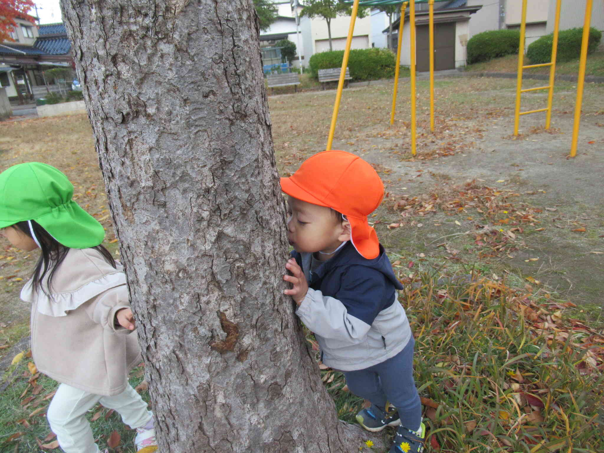 ここなら見つからないぞ⭐︎