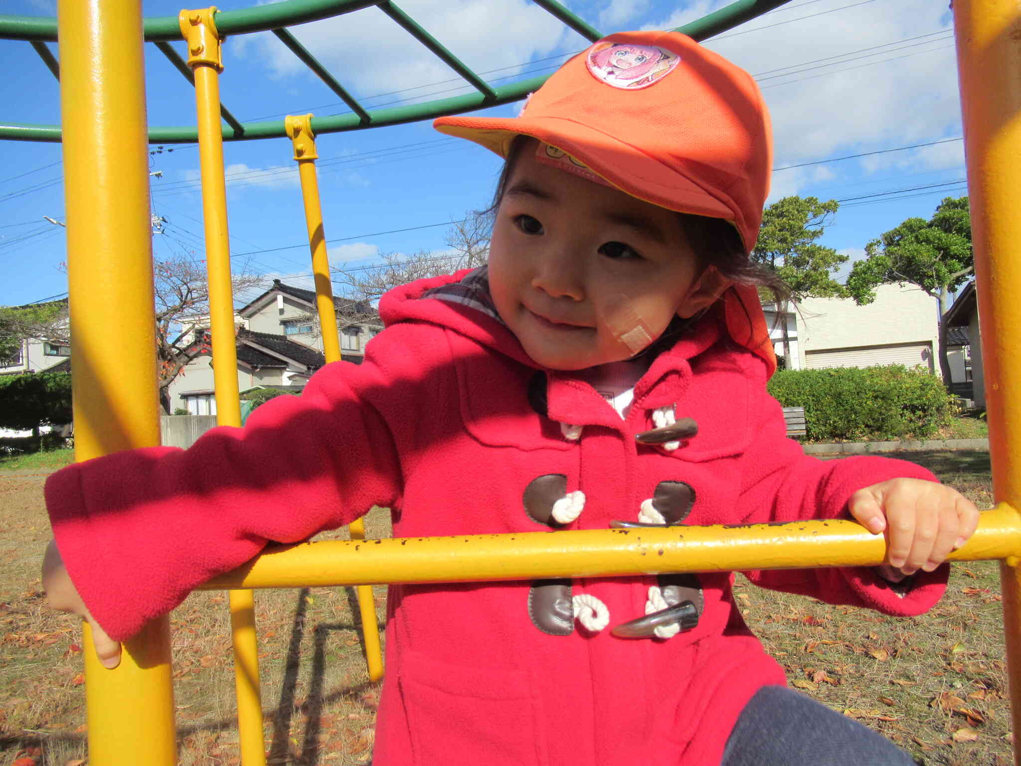 １番上までもう少し♪