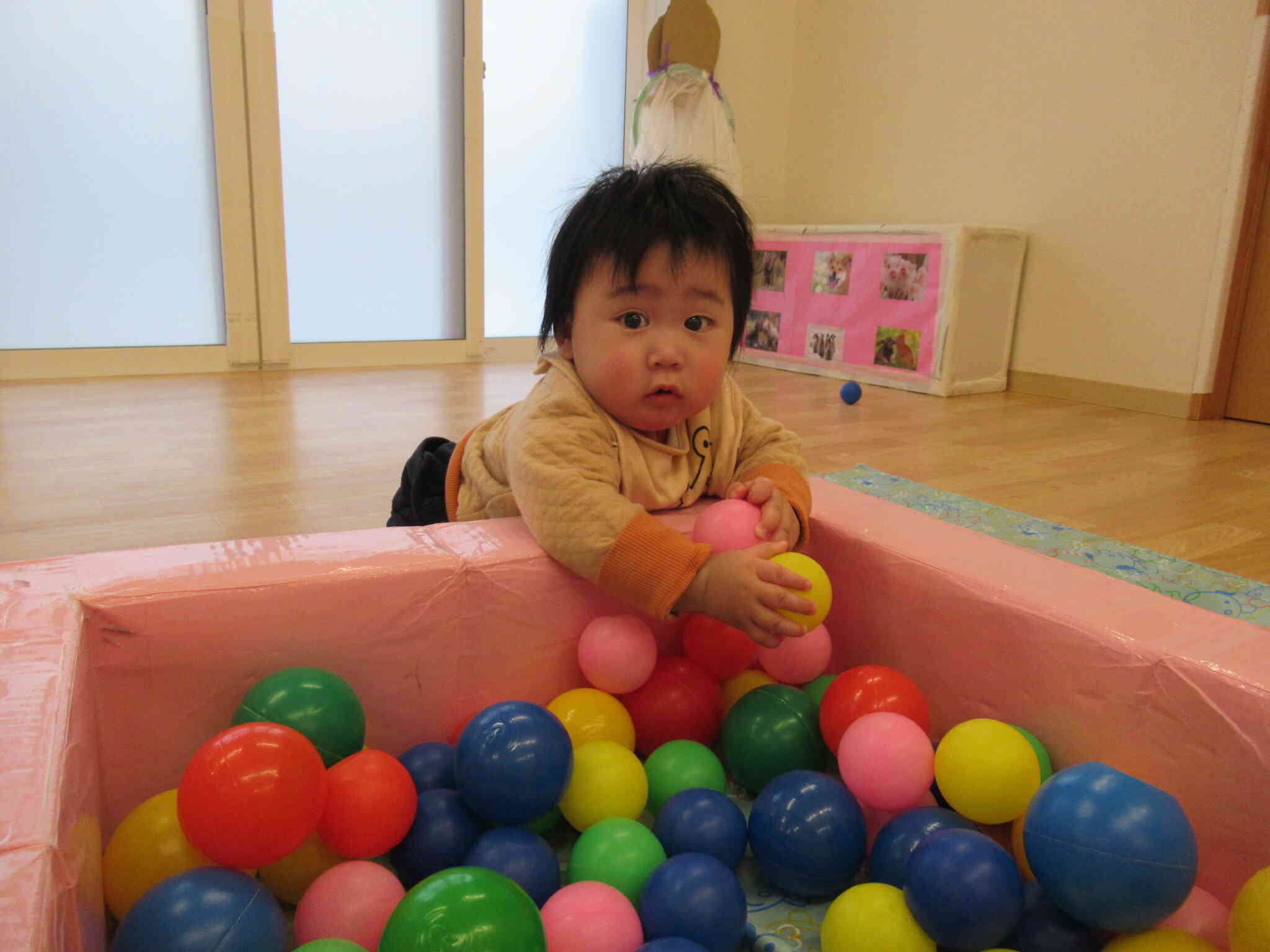 どれにしようかな～？