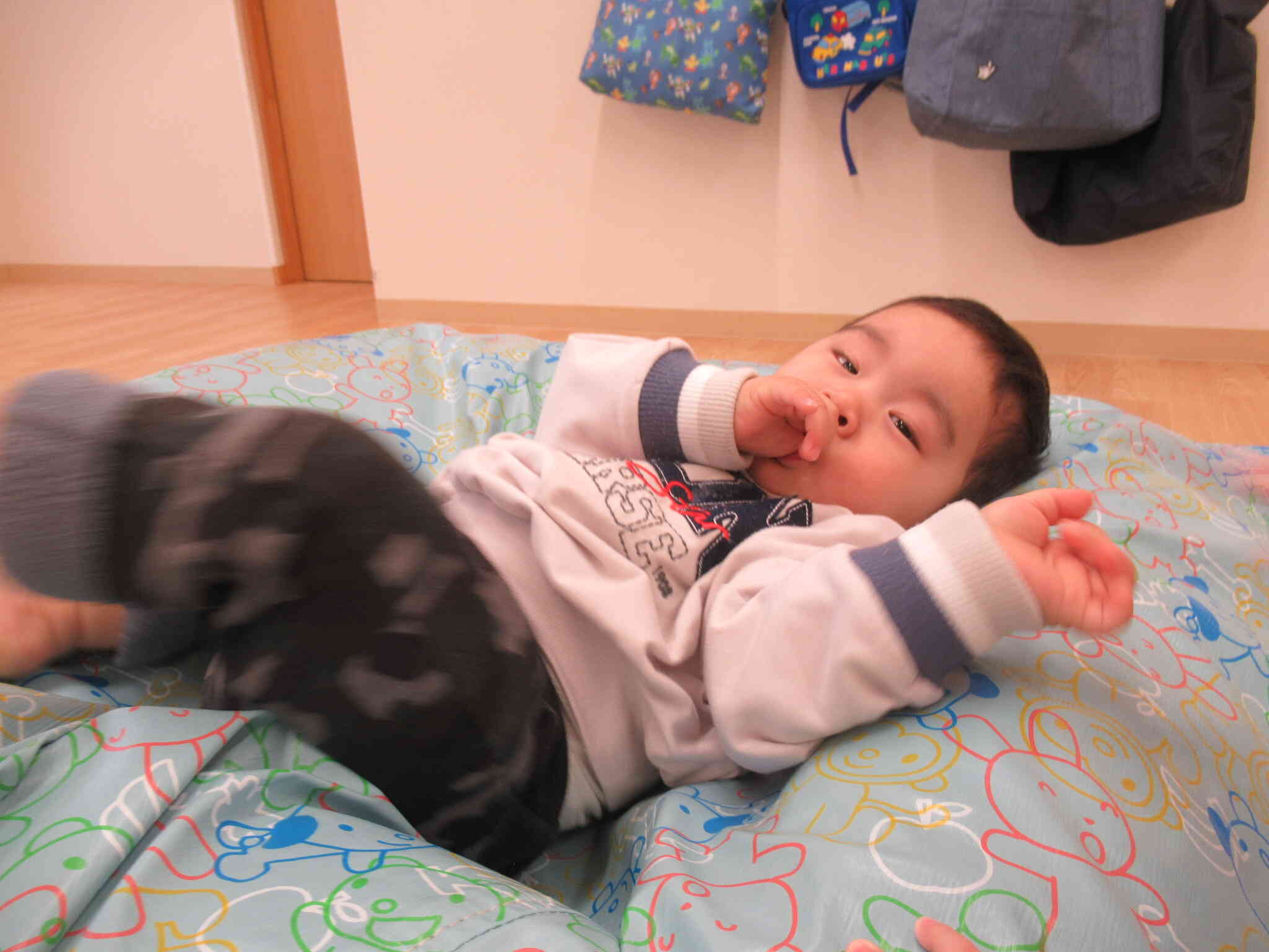 ふわふわで気持ちがいいな♪