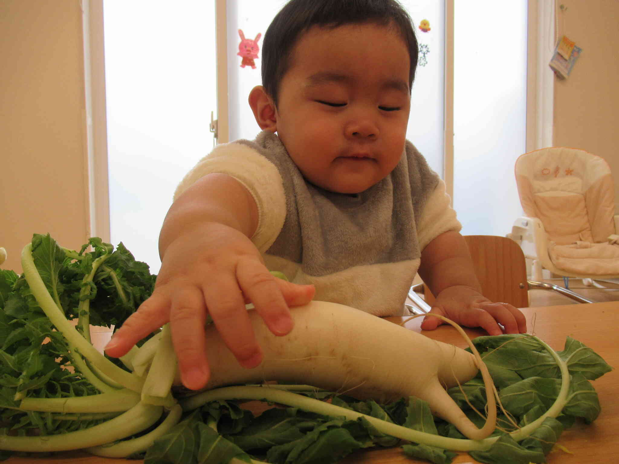 大根はどんな感触かな？？