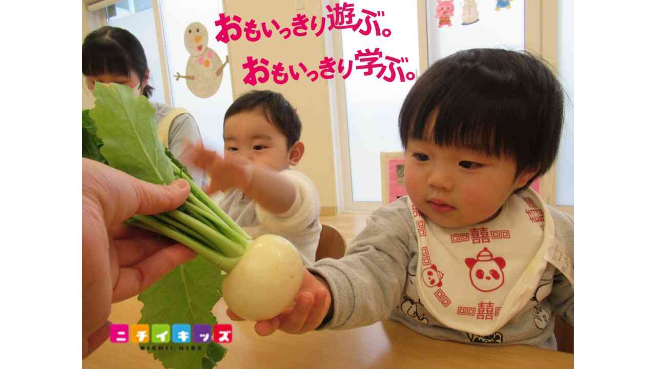 食育活動～冬野菜に触れよう～