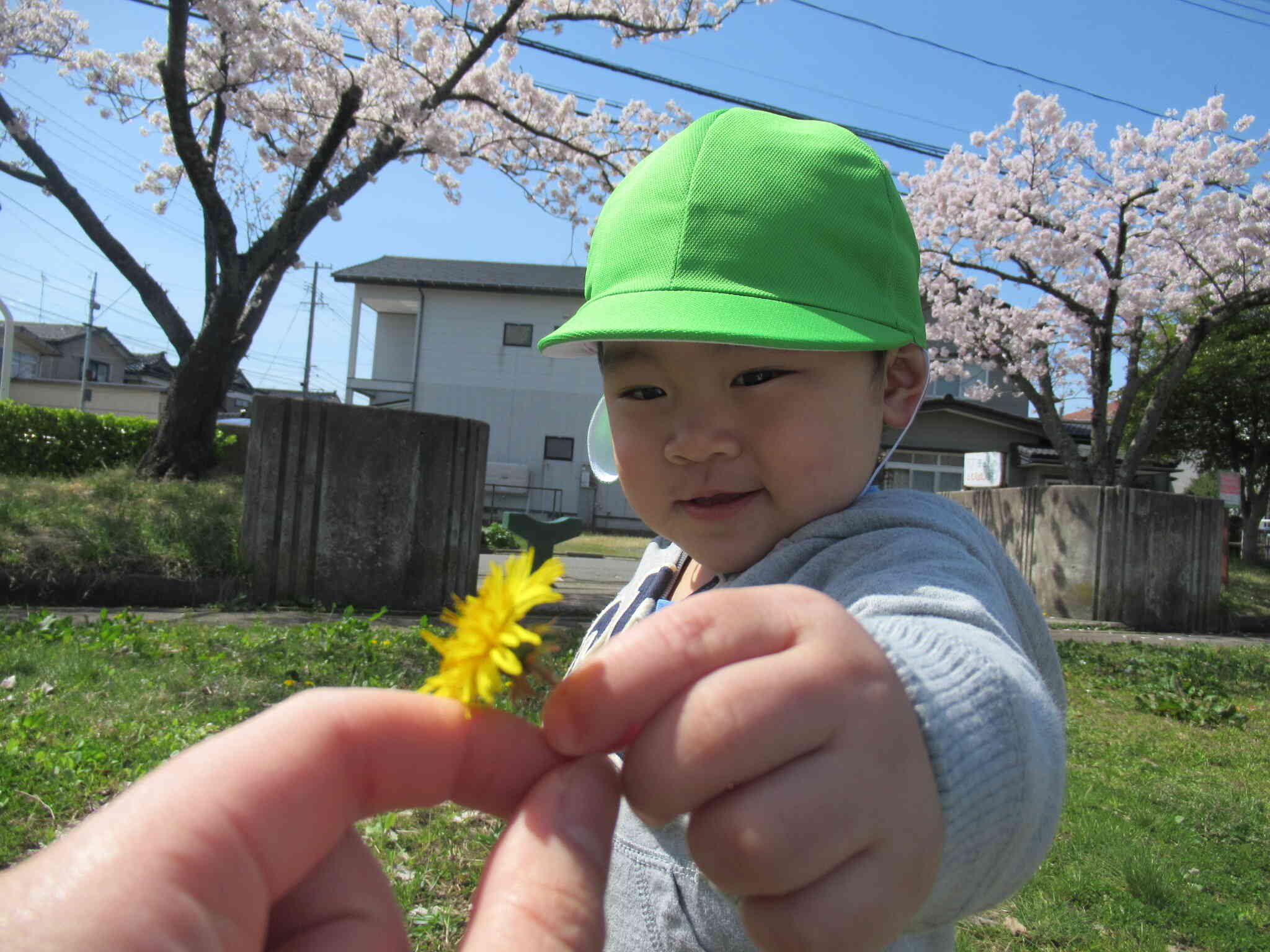 春、みーつけた！