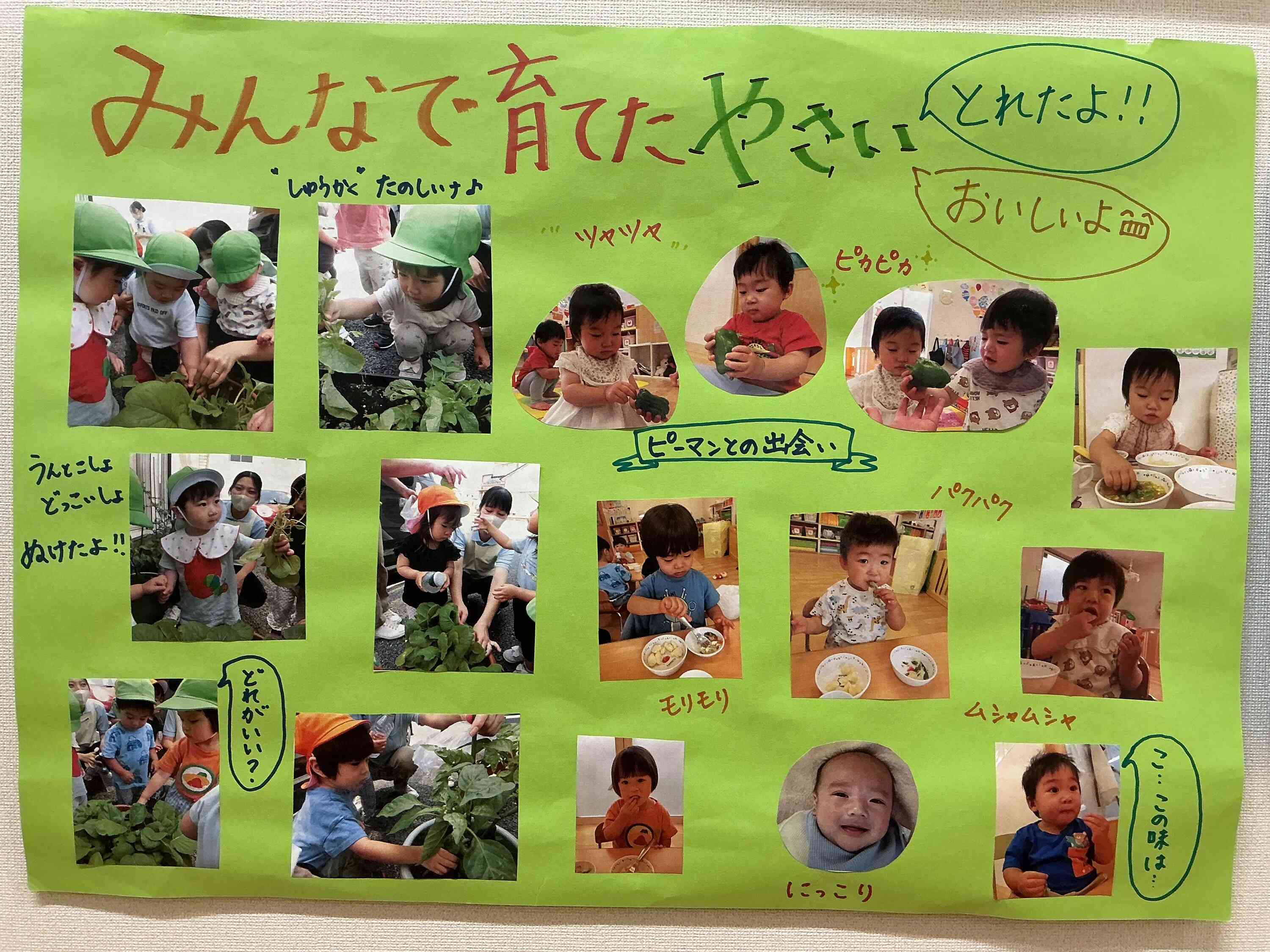 ★食育活動★ みんなで大切に育てた野菜を収穫して、午後のおやつでおいしくいただきました♪