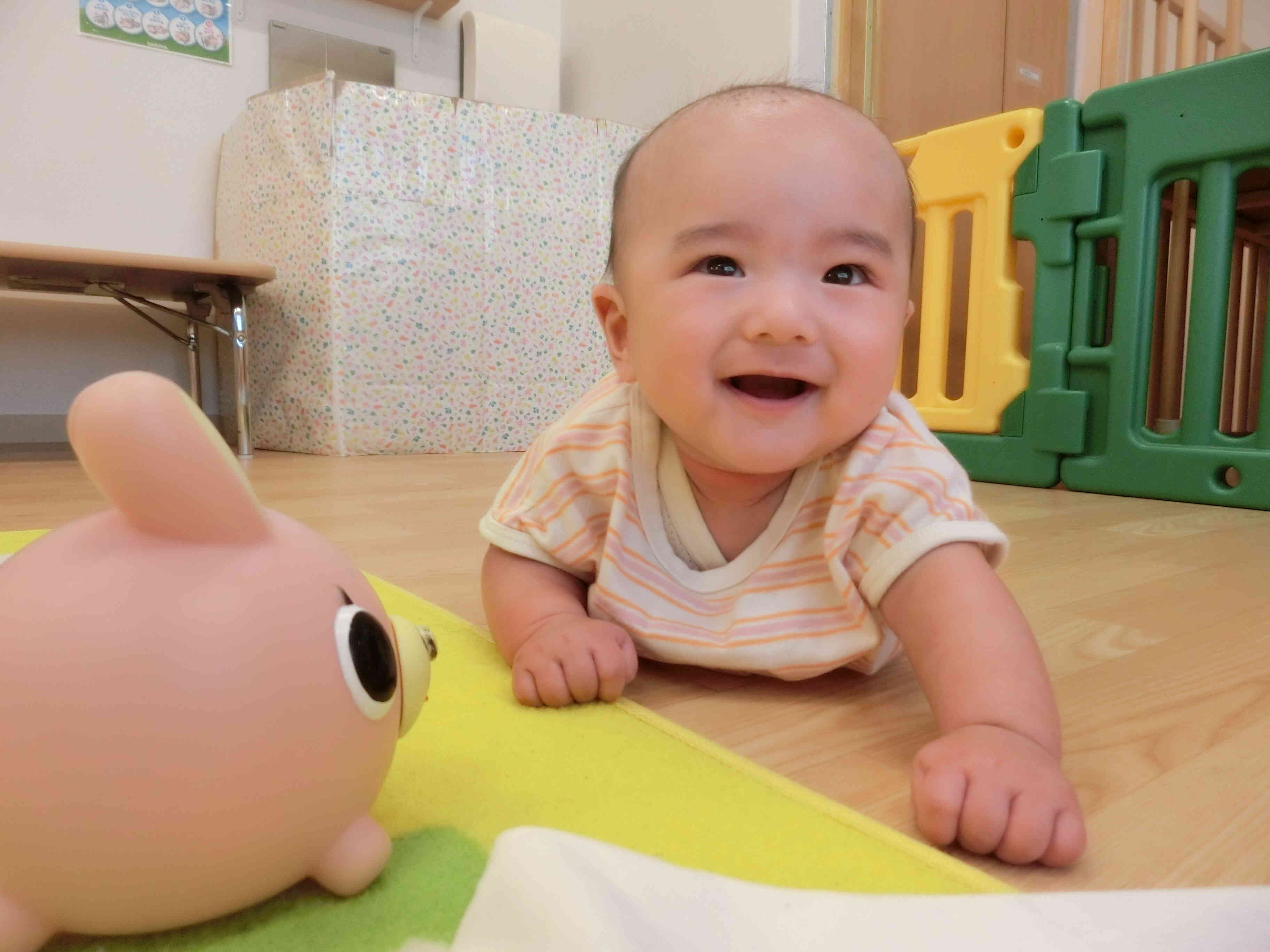 今日も元気いっぱい遊んだよ！