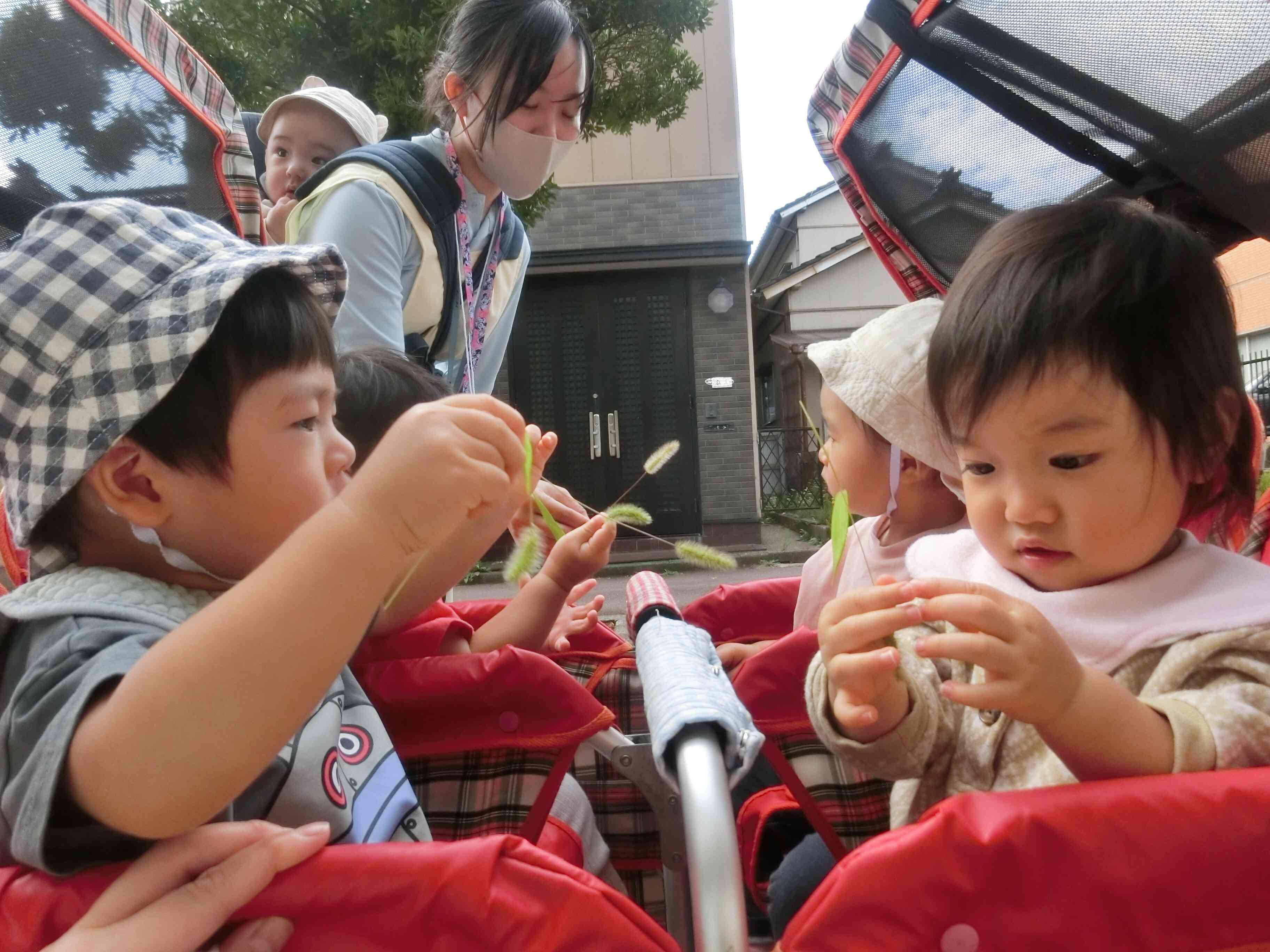 秋を探しに行こう♪　ひよこ組（0歳児）