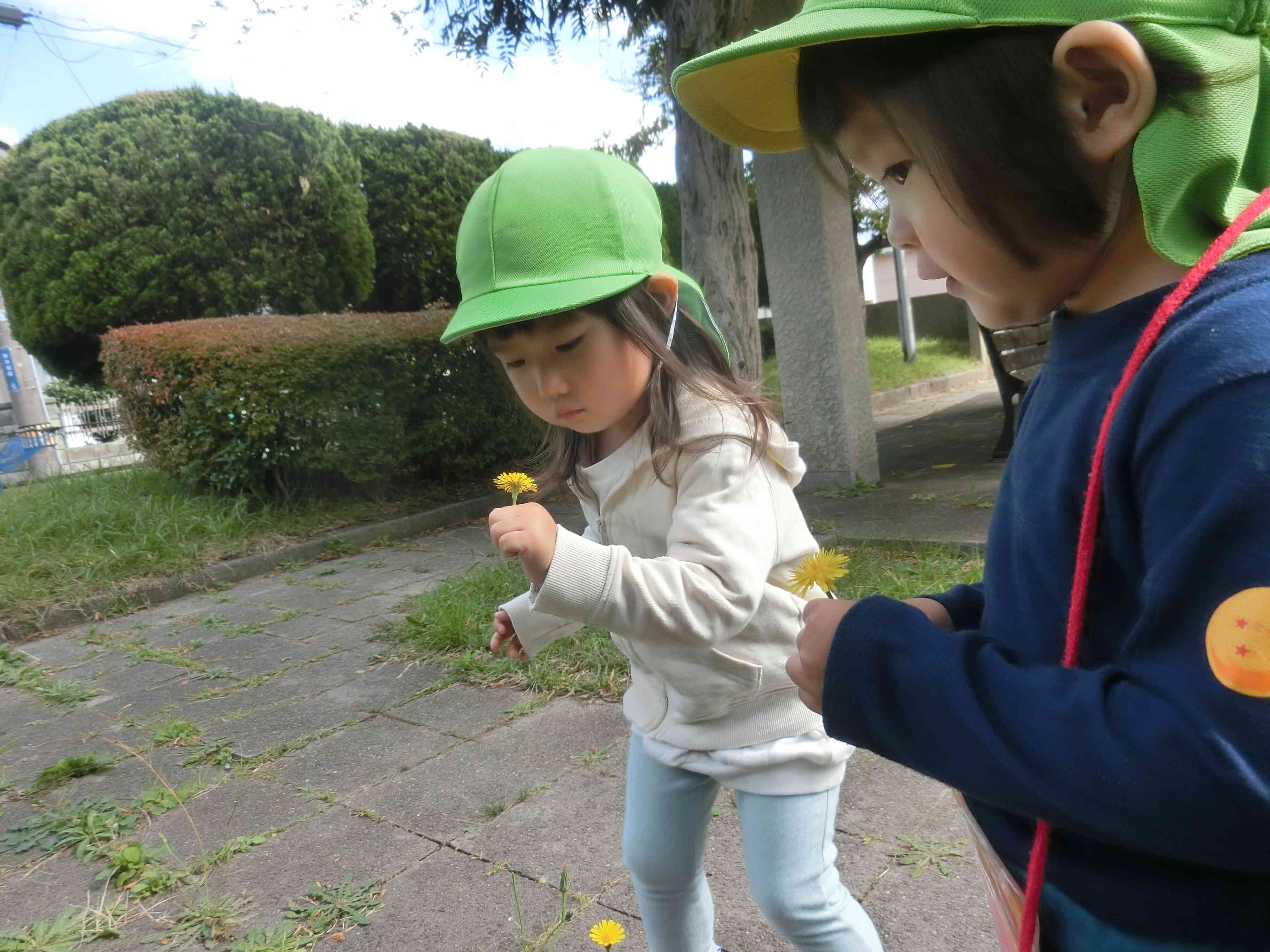 きれいなお花☆