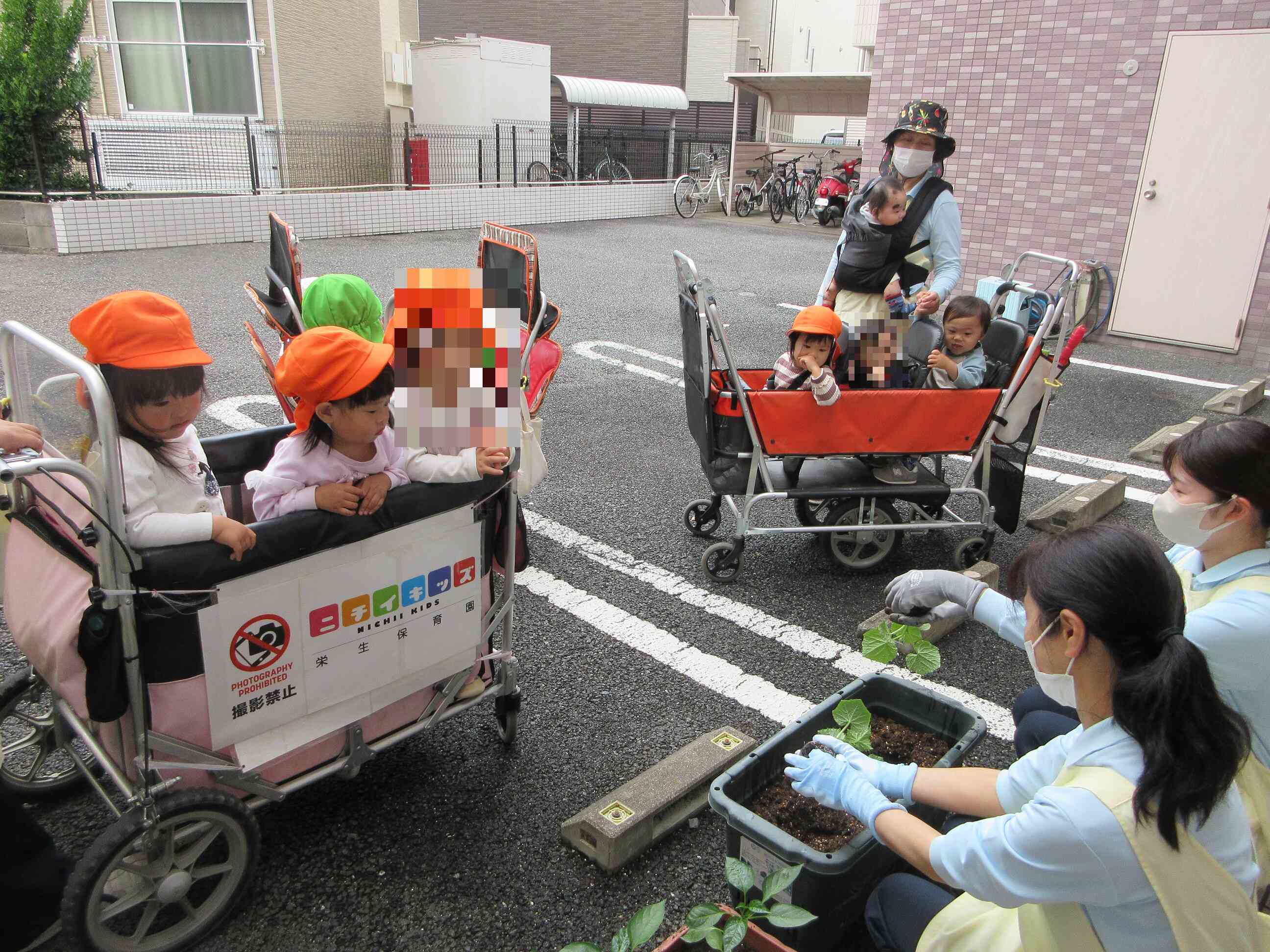 苗の植え方を観察中