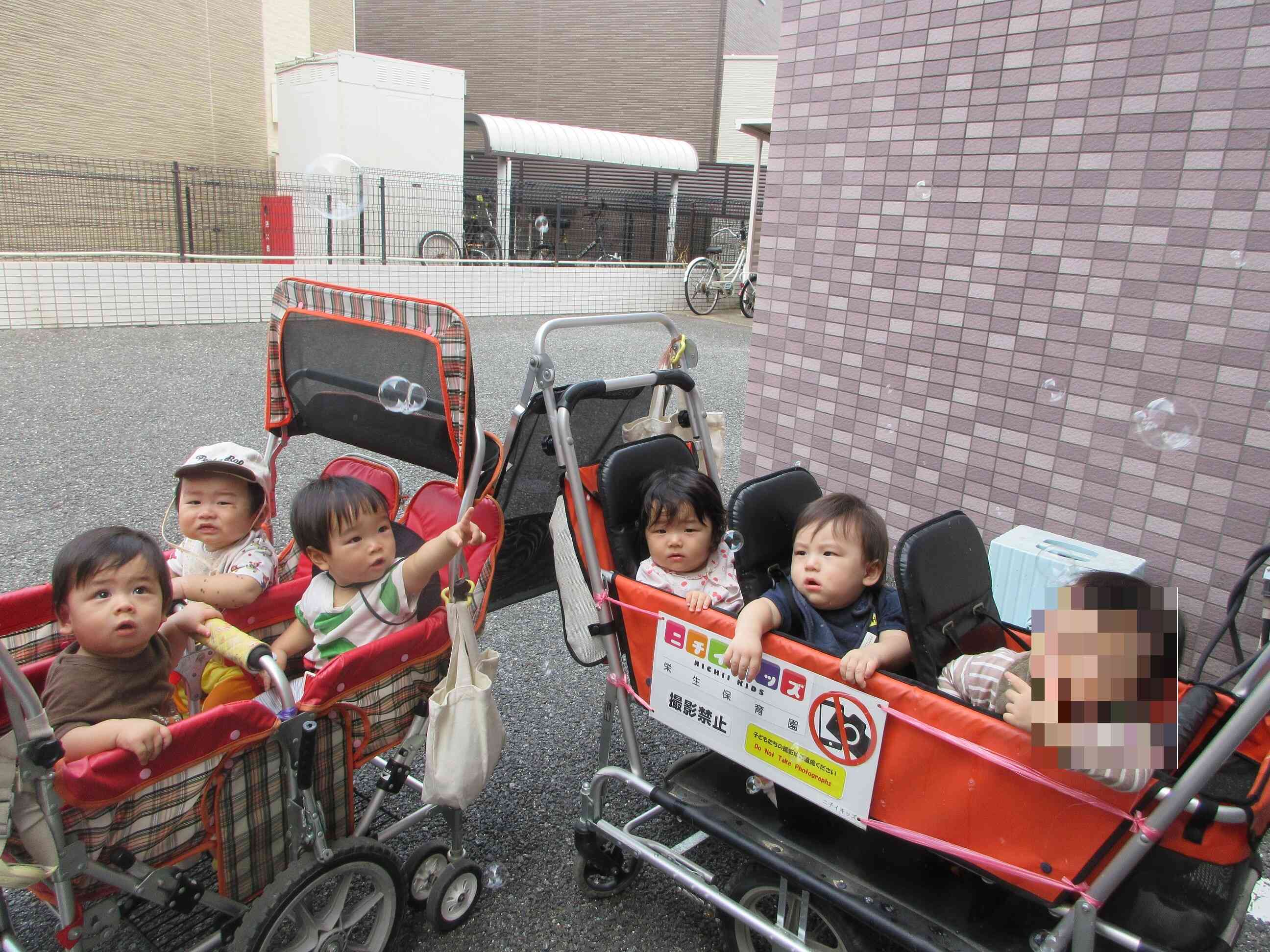 ひよこ組のお友だちも一緒に観察しましたよ～　