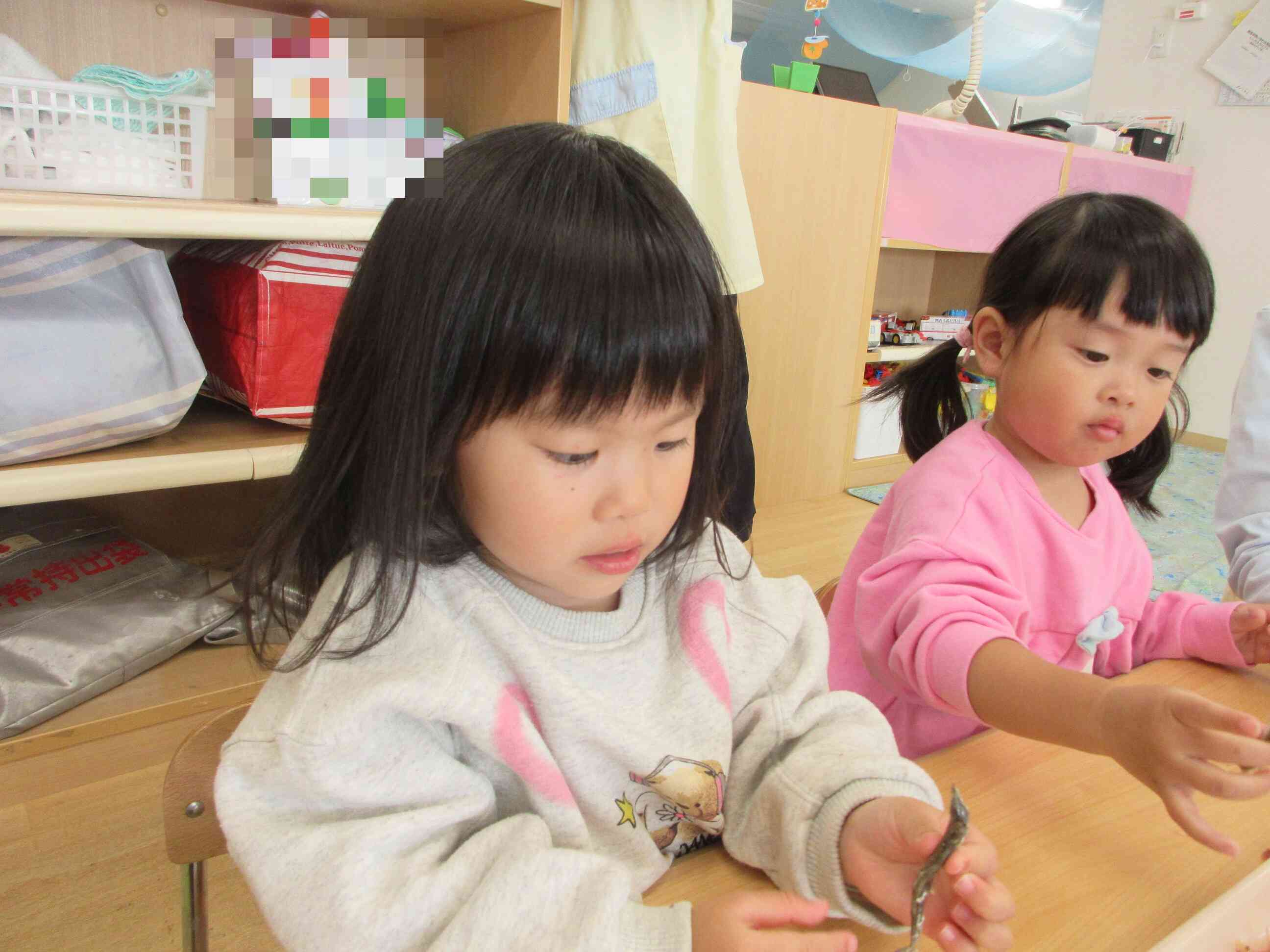 にぼしにも興味がでてきました