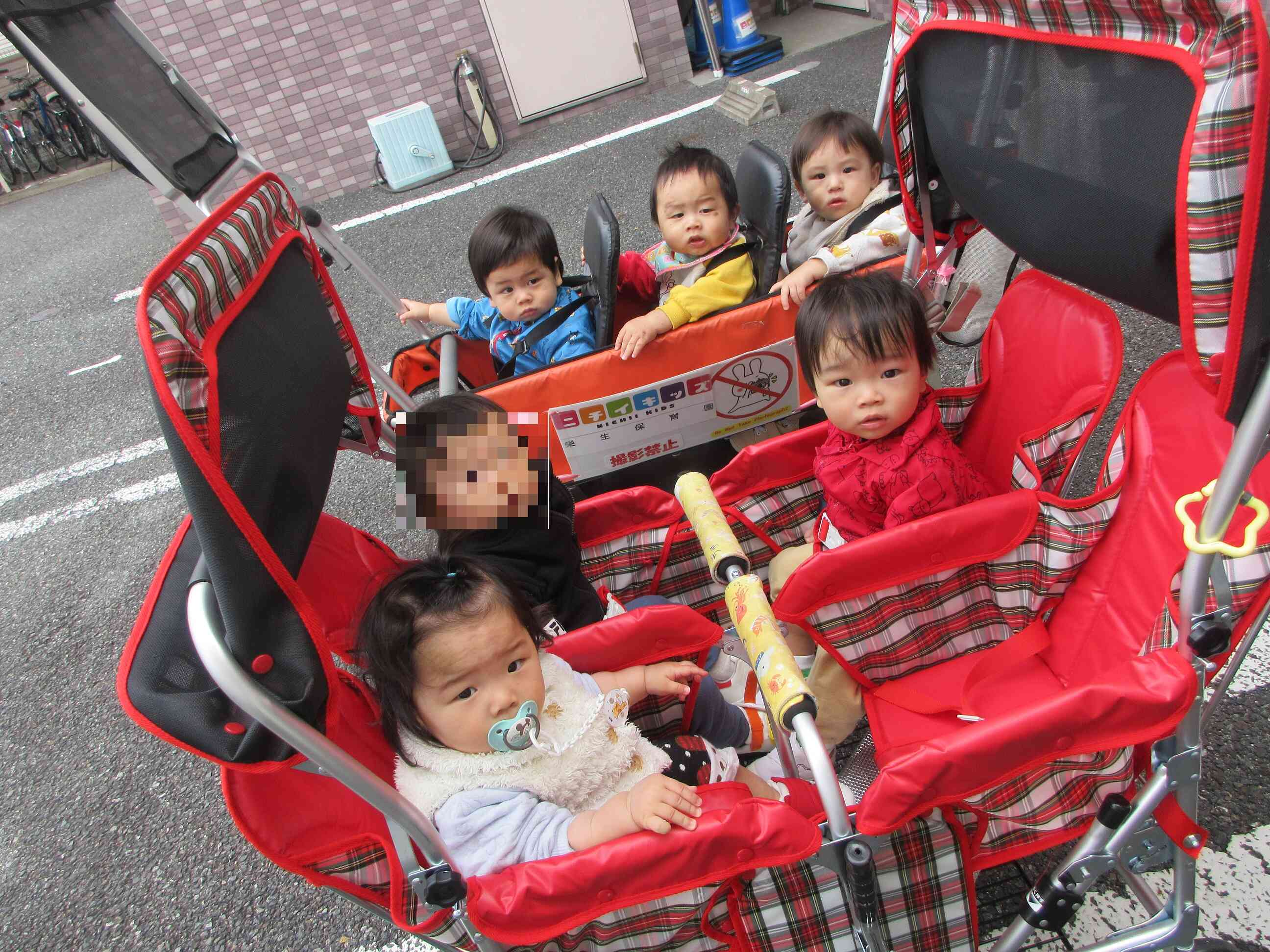 ひよこ組のお散歩