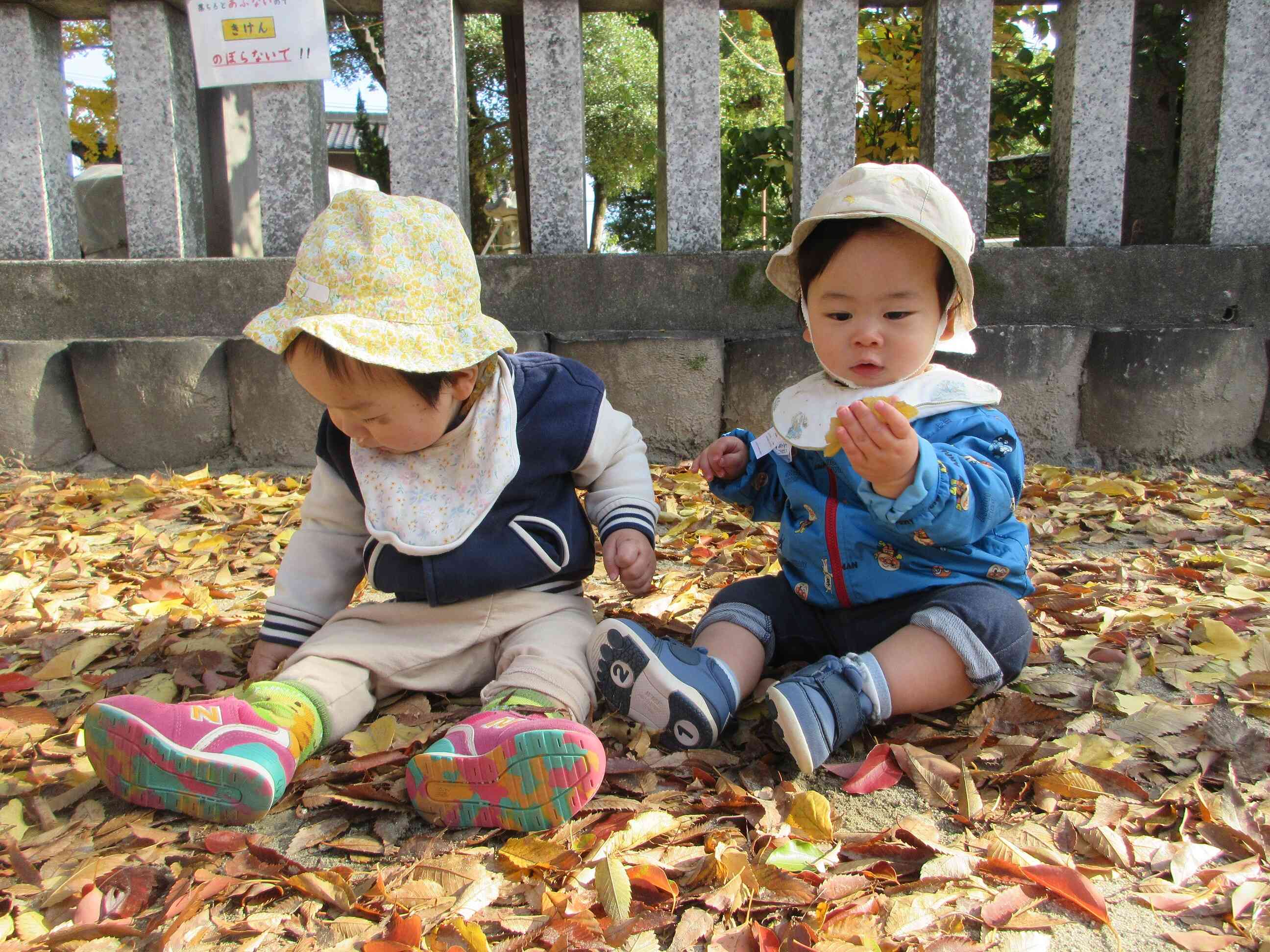 落ち葉のクッション