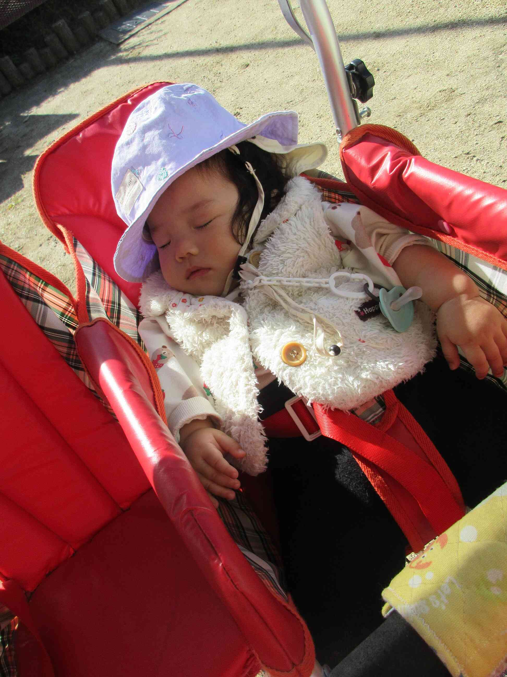 お散歩車に揺られて気持ちよくお昼寝。