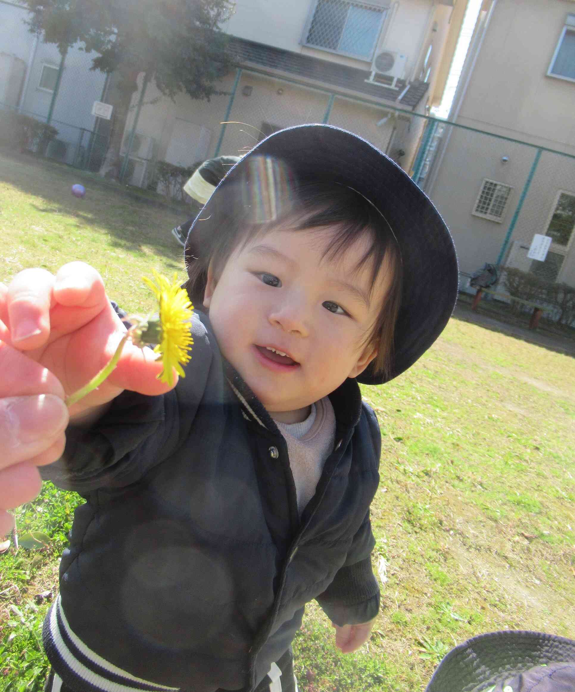 タンポポ見つけたよ