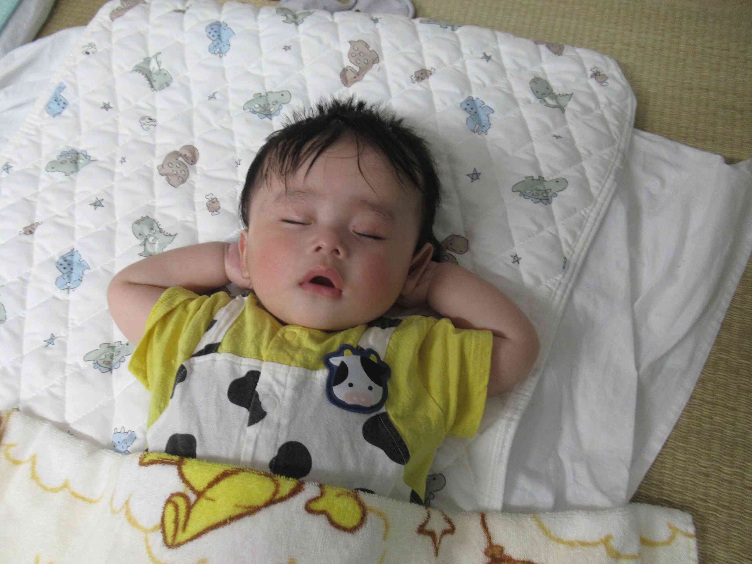 夢の中へ・・・ぐっすりお昼寝